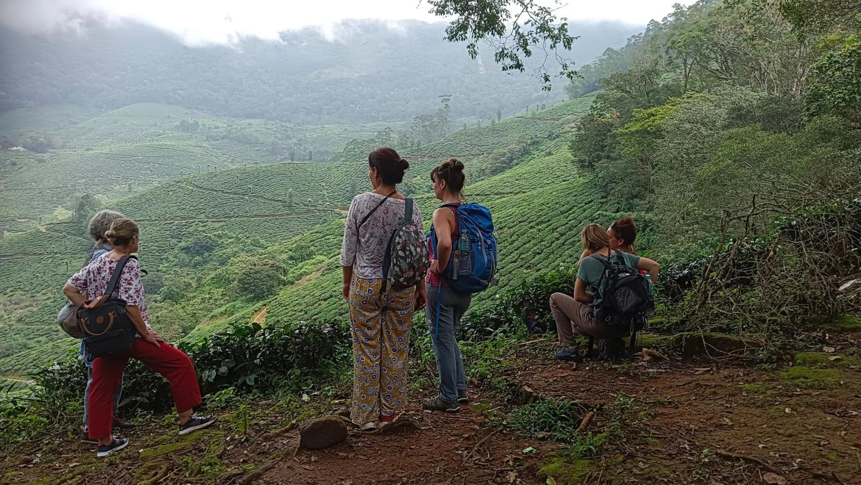 The wayside cottage Munnar