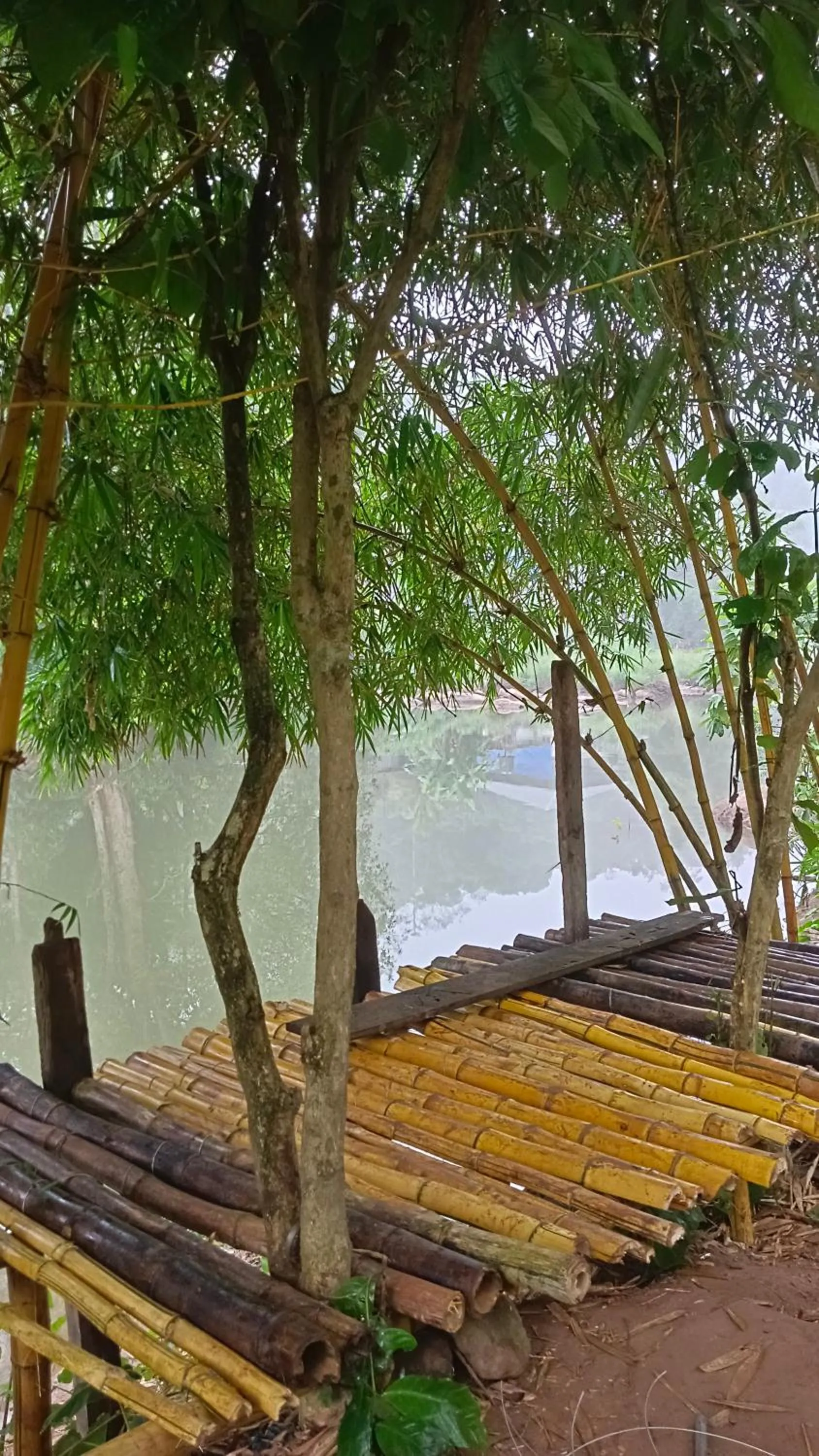 The wayside cottage Munnar