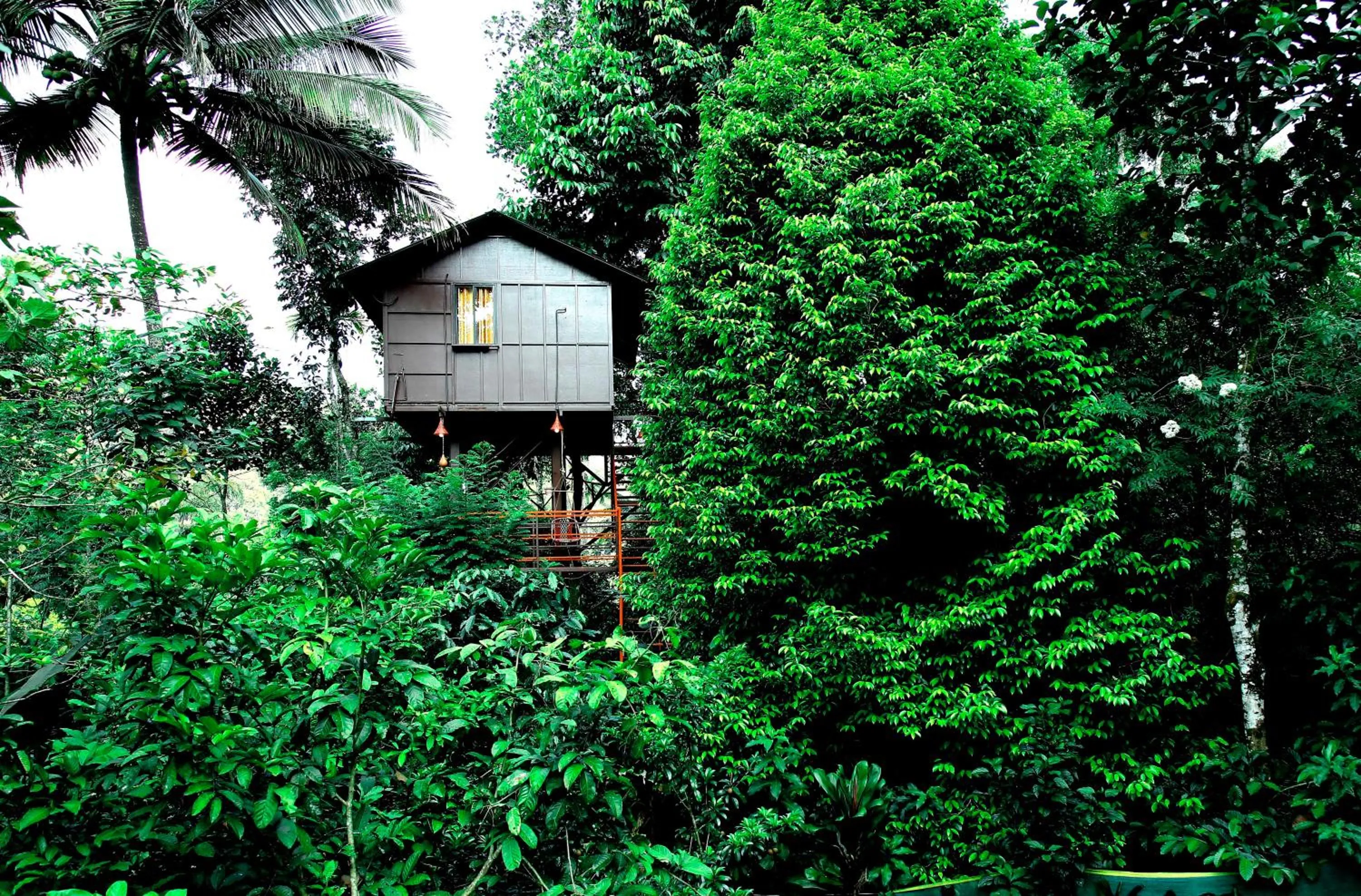 The wayside cottage Munnar
