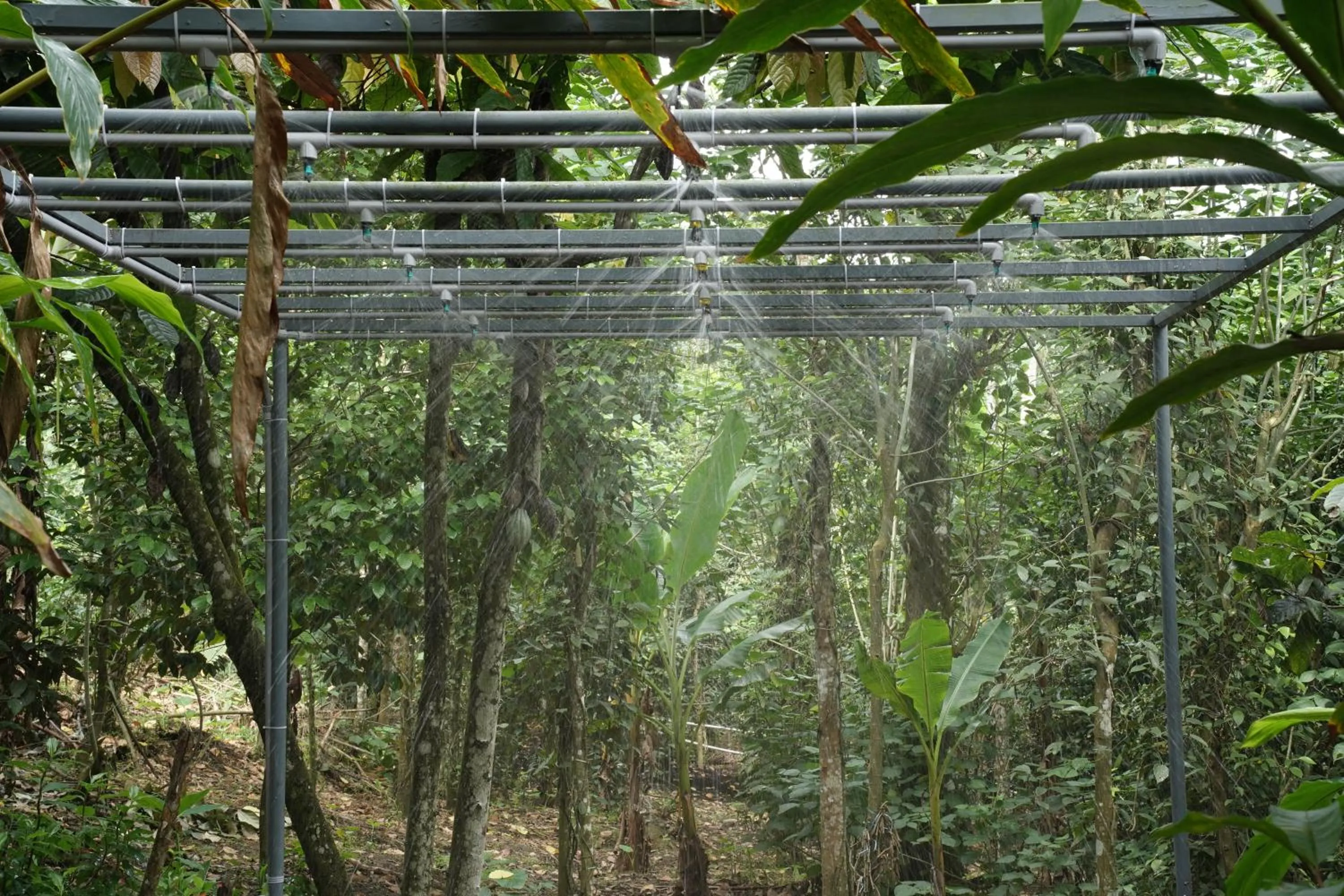 Open Air Bath in The wayside cottage Munnar