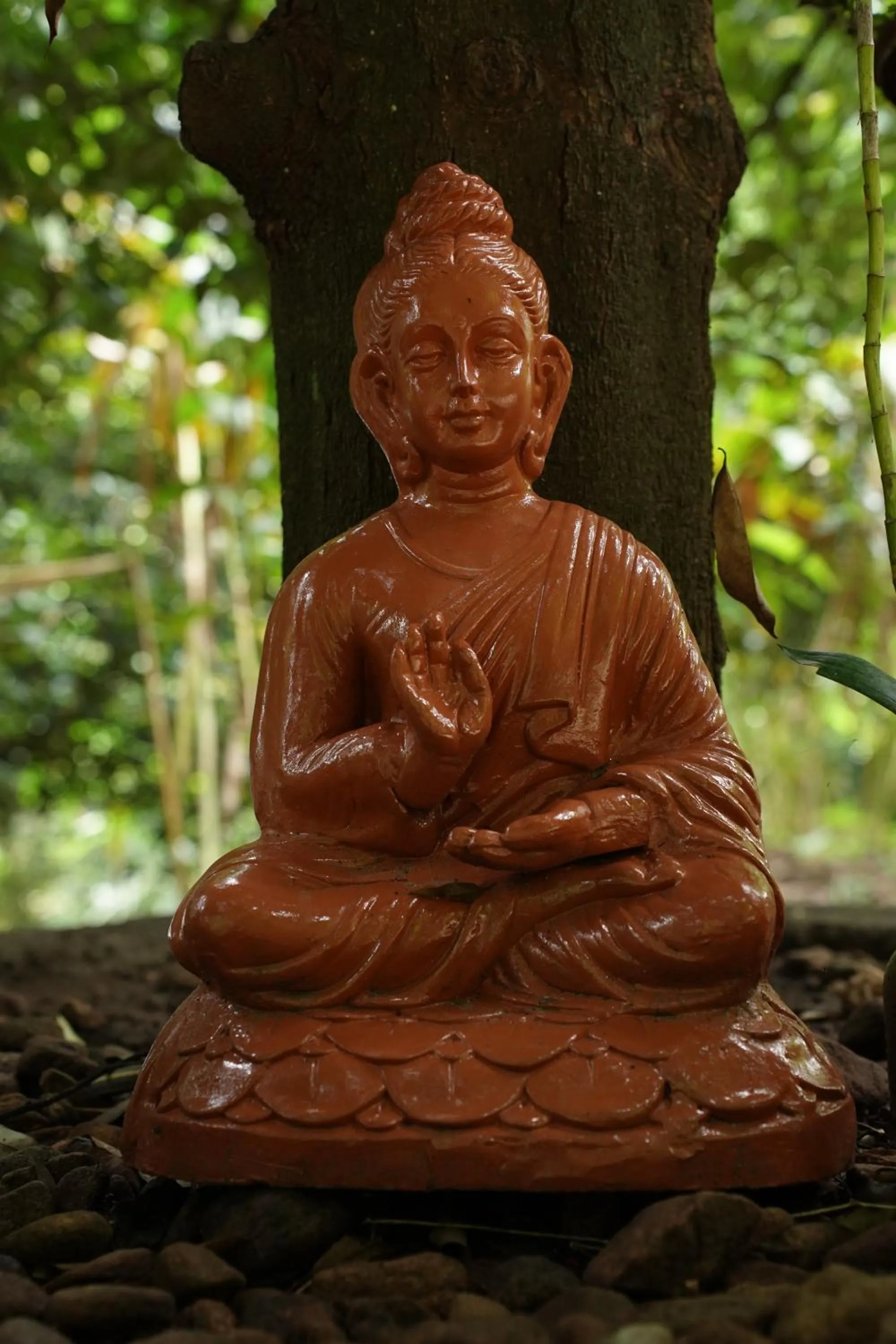 The wayside cottage Munnar