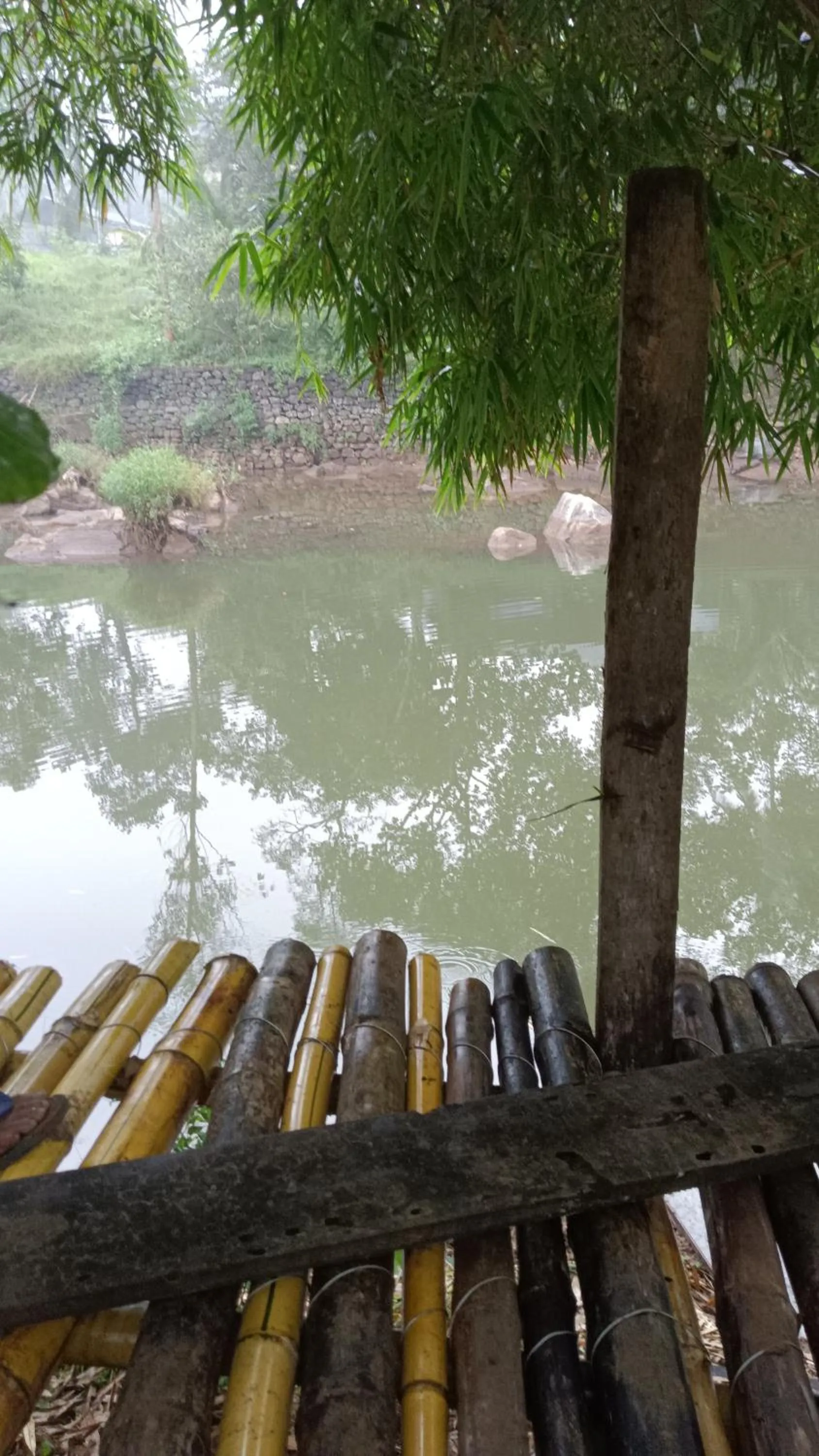 The wayside cottage Munnar