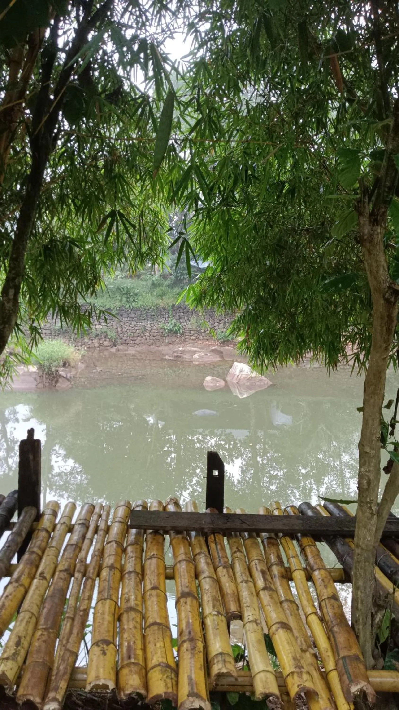 The wayside cottage Munnar