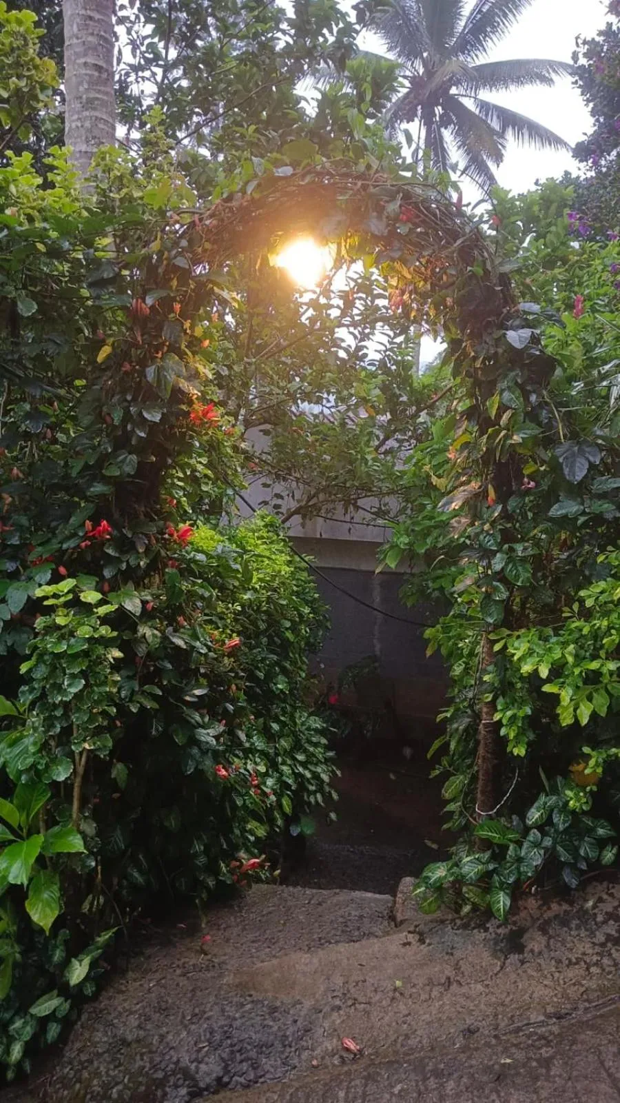 The wayside cottage Munnar