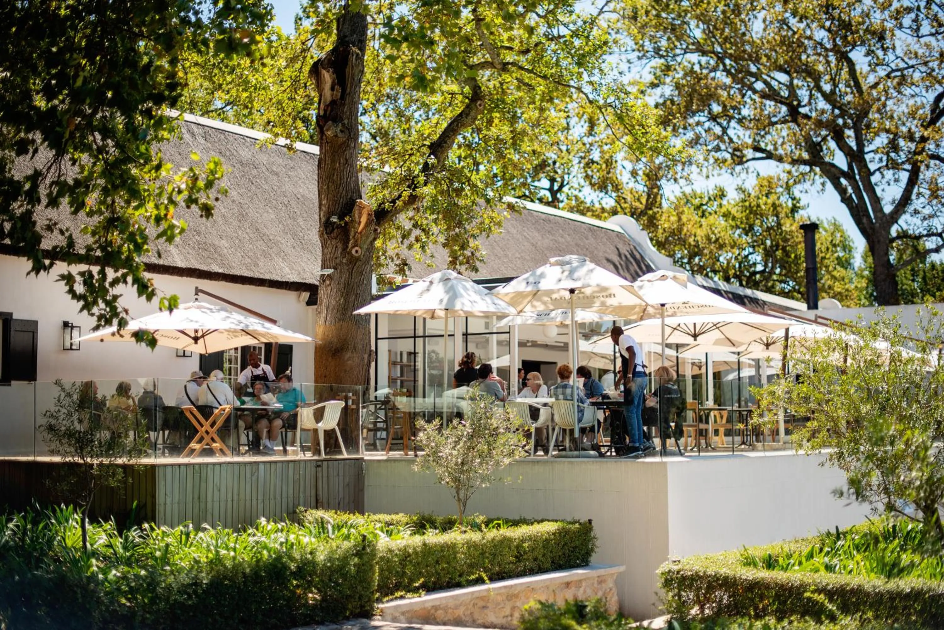 Restaurant/places to eat in Boschendal Farm Estate