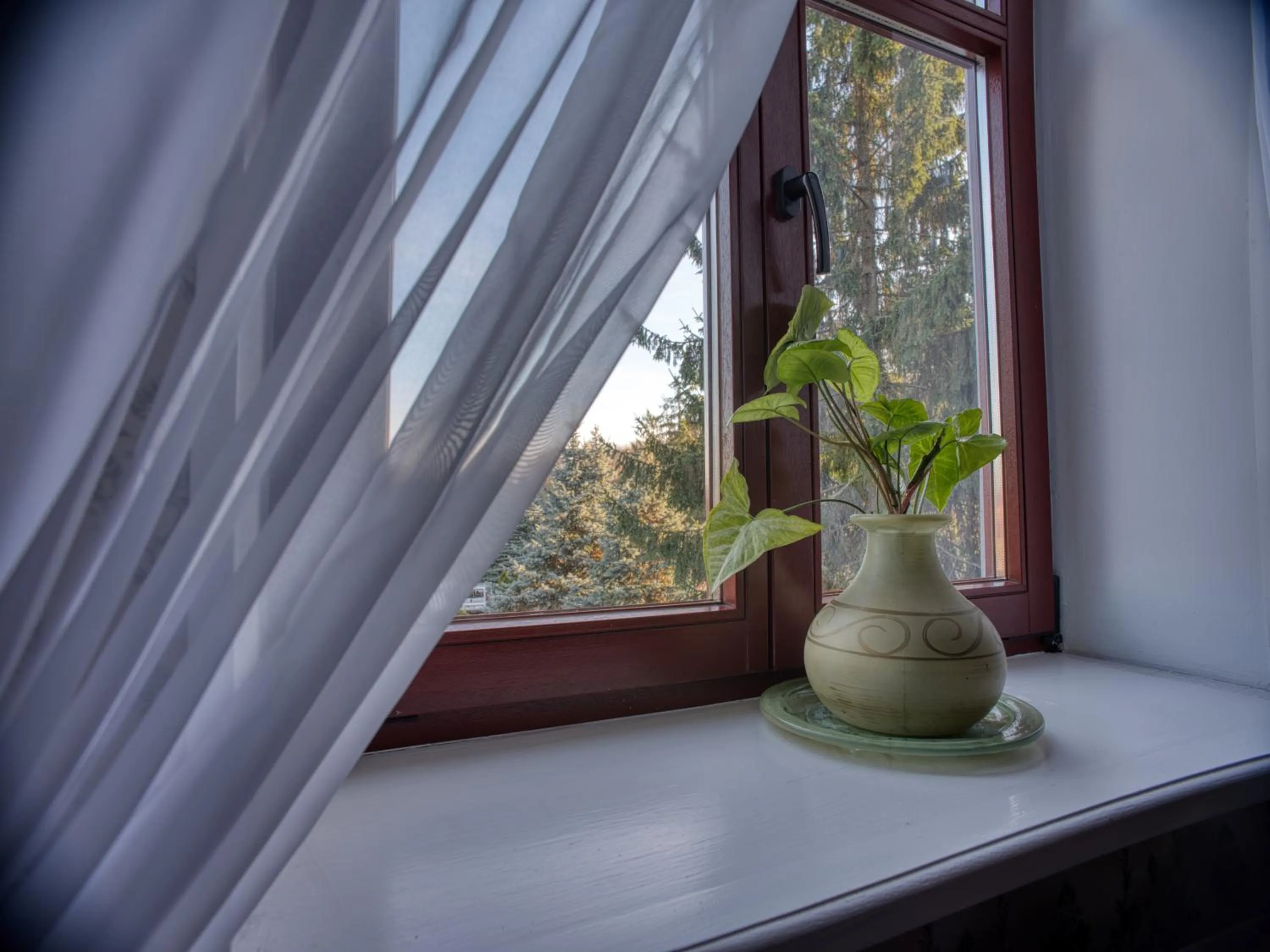 View (from property/room) in Dwór Hetman