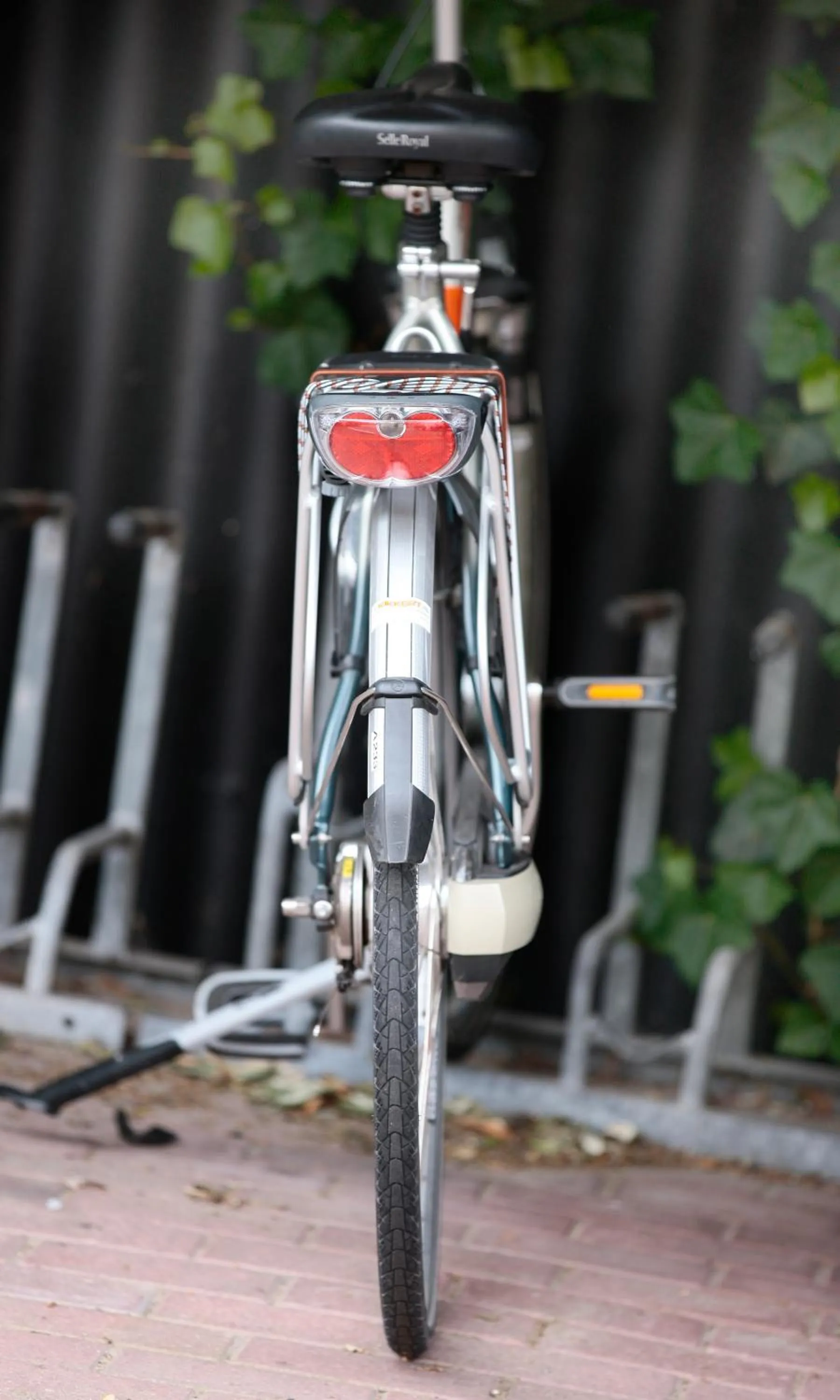 Cycling in Hotel Zeerust Texel