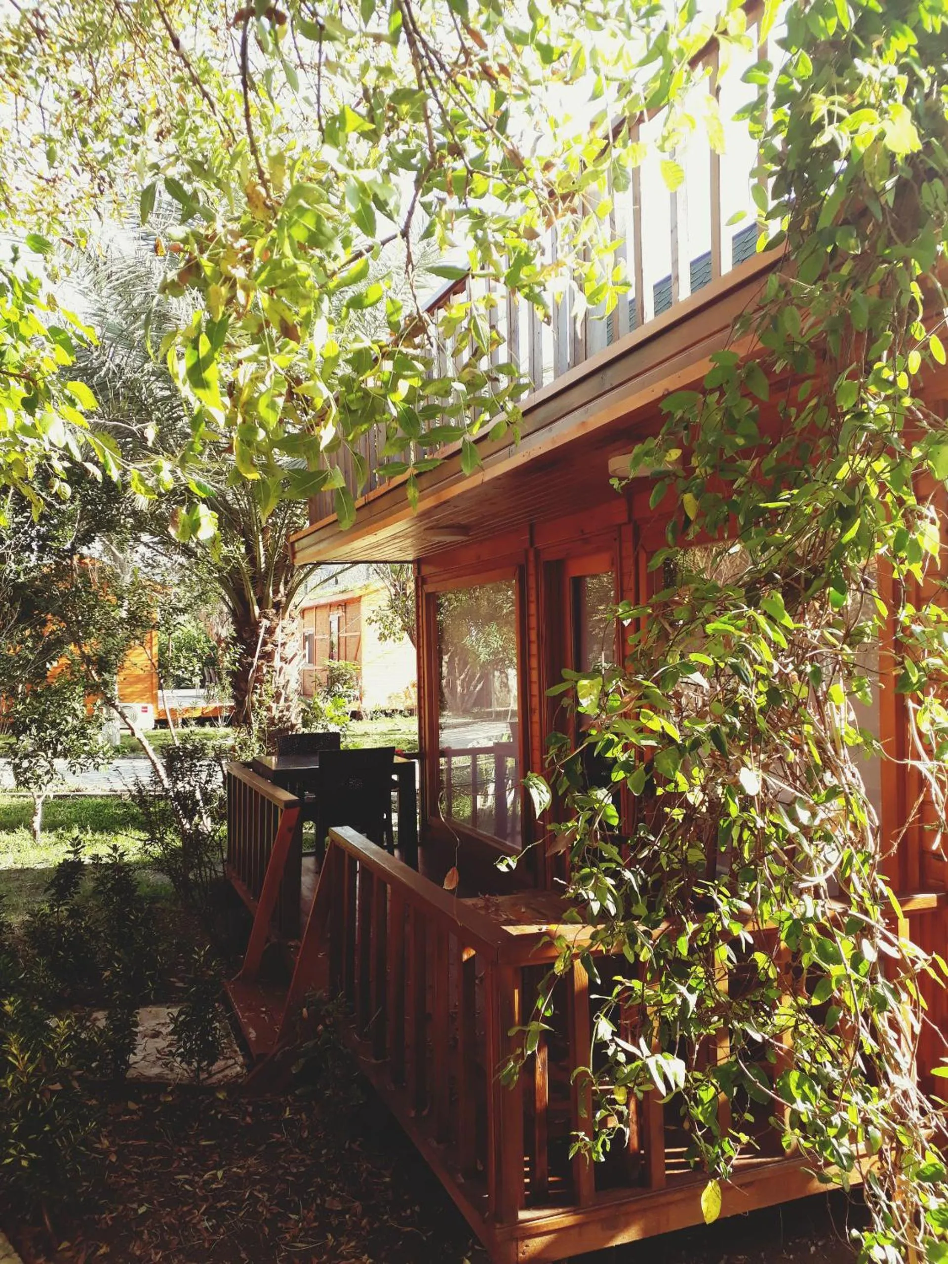 Garden in Otantik Tas Ev