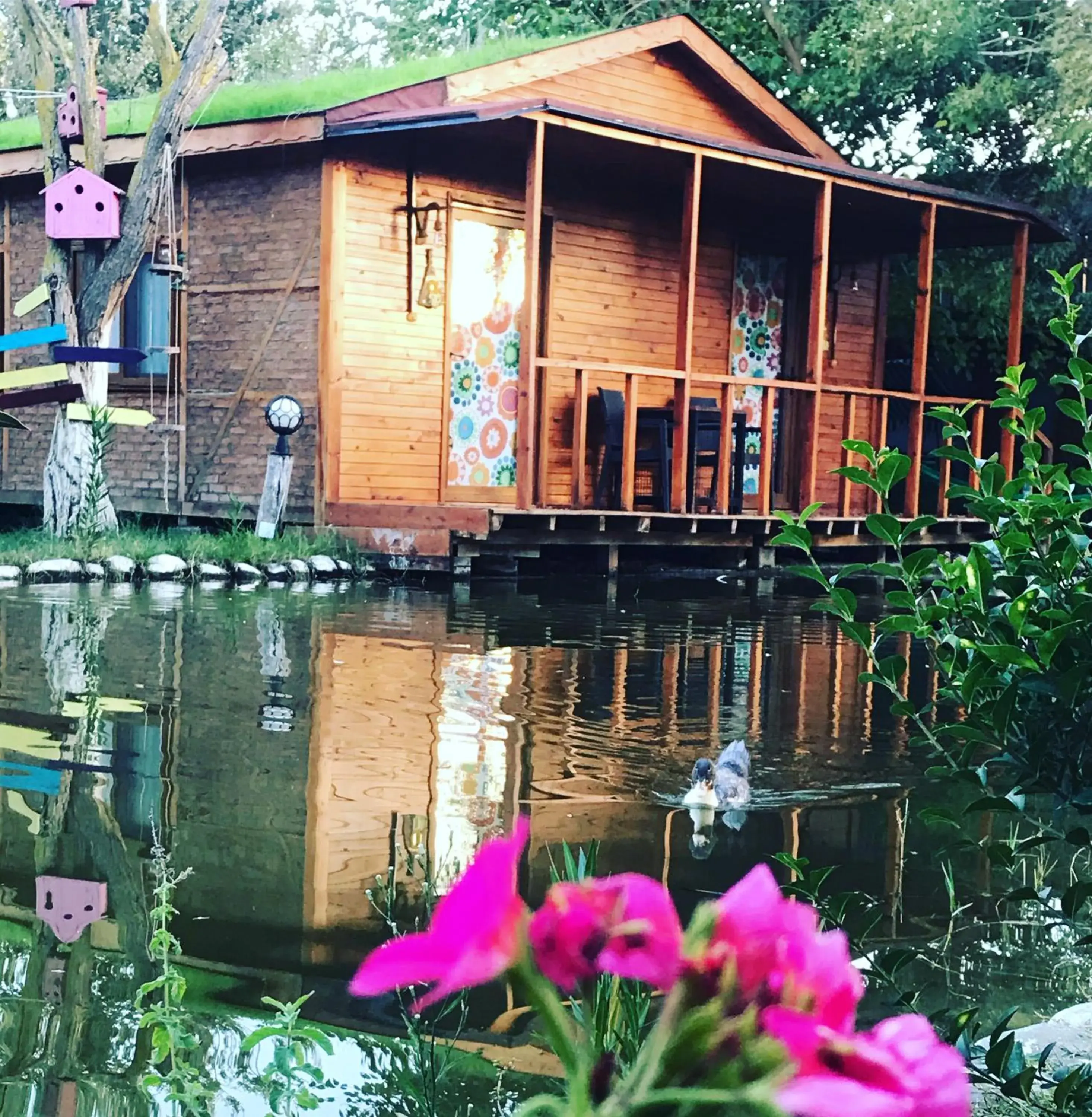 Studio with Lake View in Otantik Tas Ev Studio with Lake View in Otantik Tas Ev