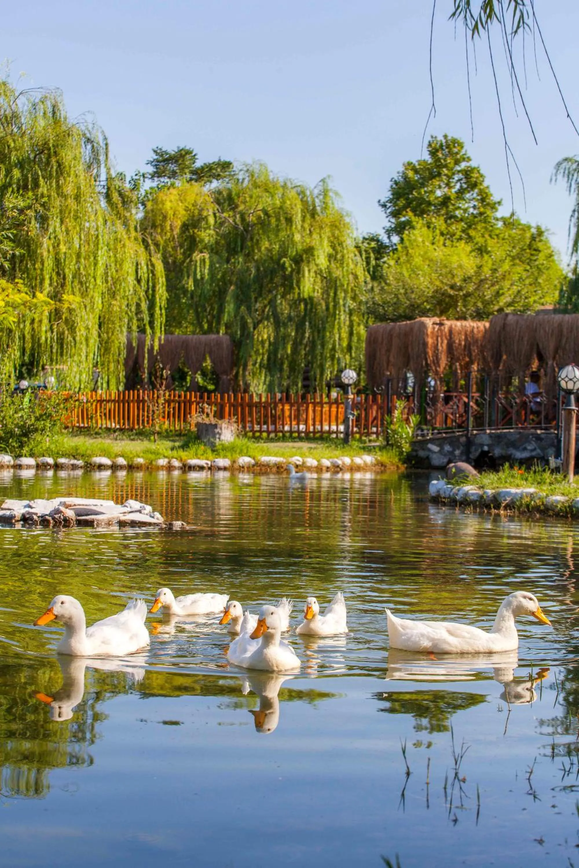 View (from property/room) in Otantik Tas Ev