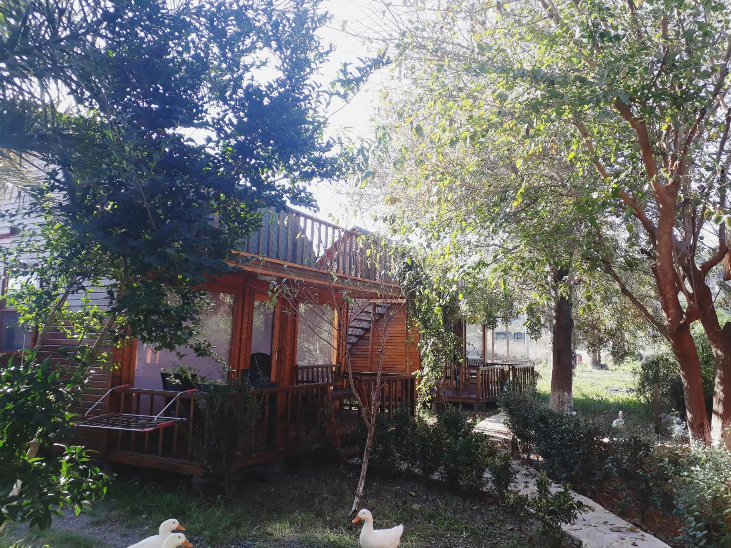 Garden in Otantik Tas Ev