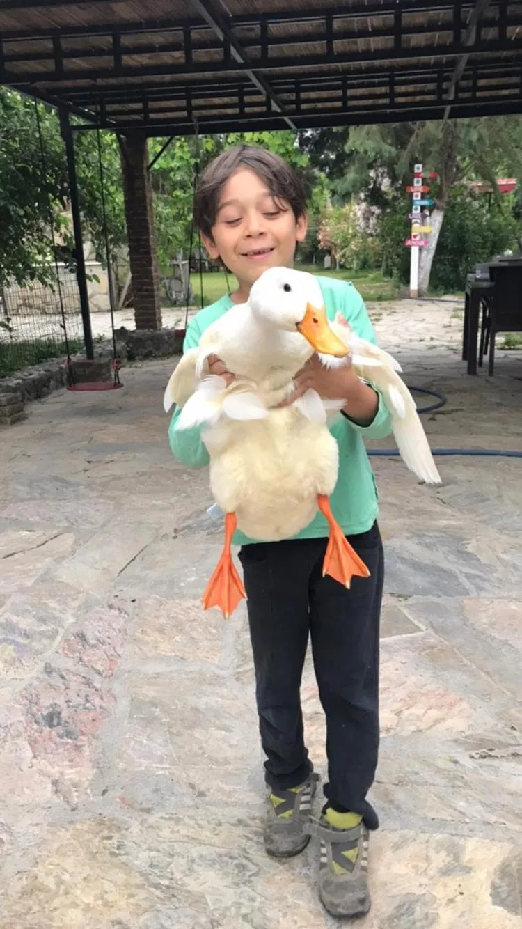 Property building in Otantik Tas Ev