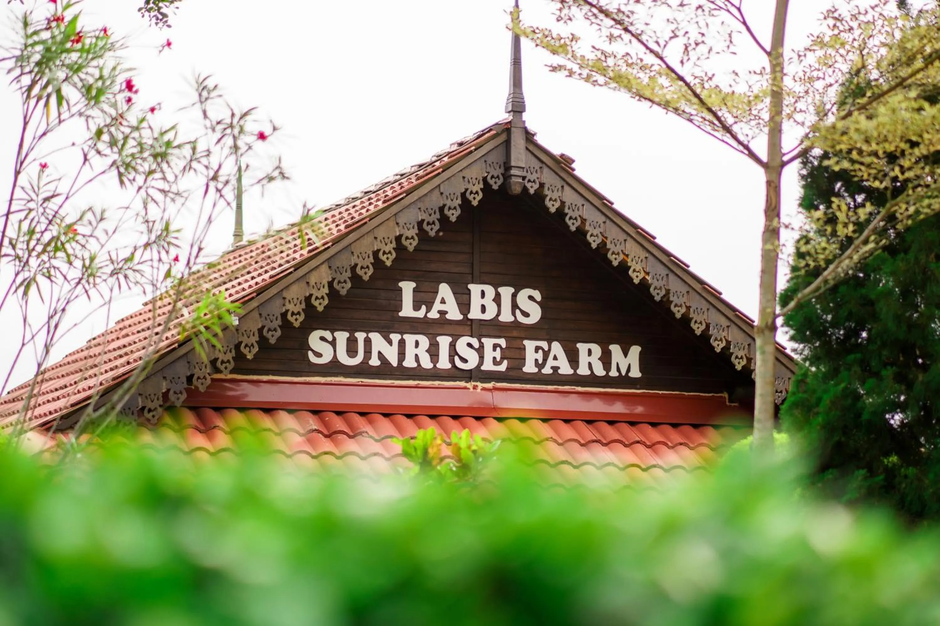 LABIS SUNRISE FARM STAY