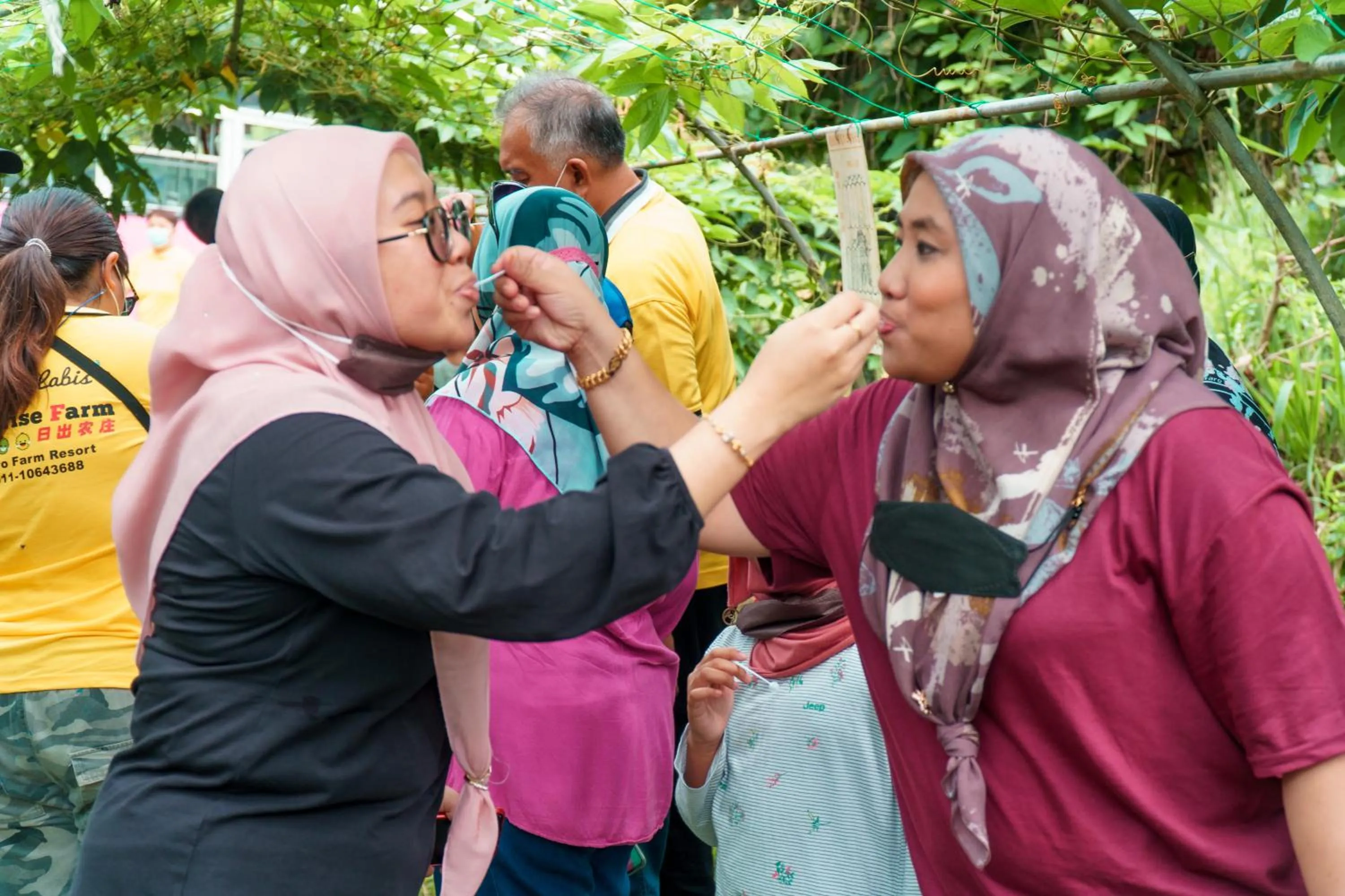 LABIS SUNRISE FARM STAY