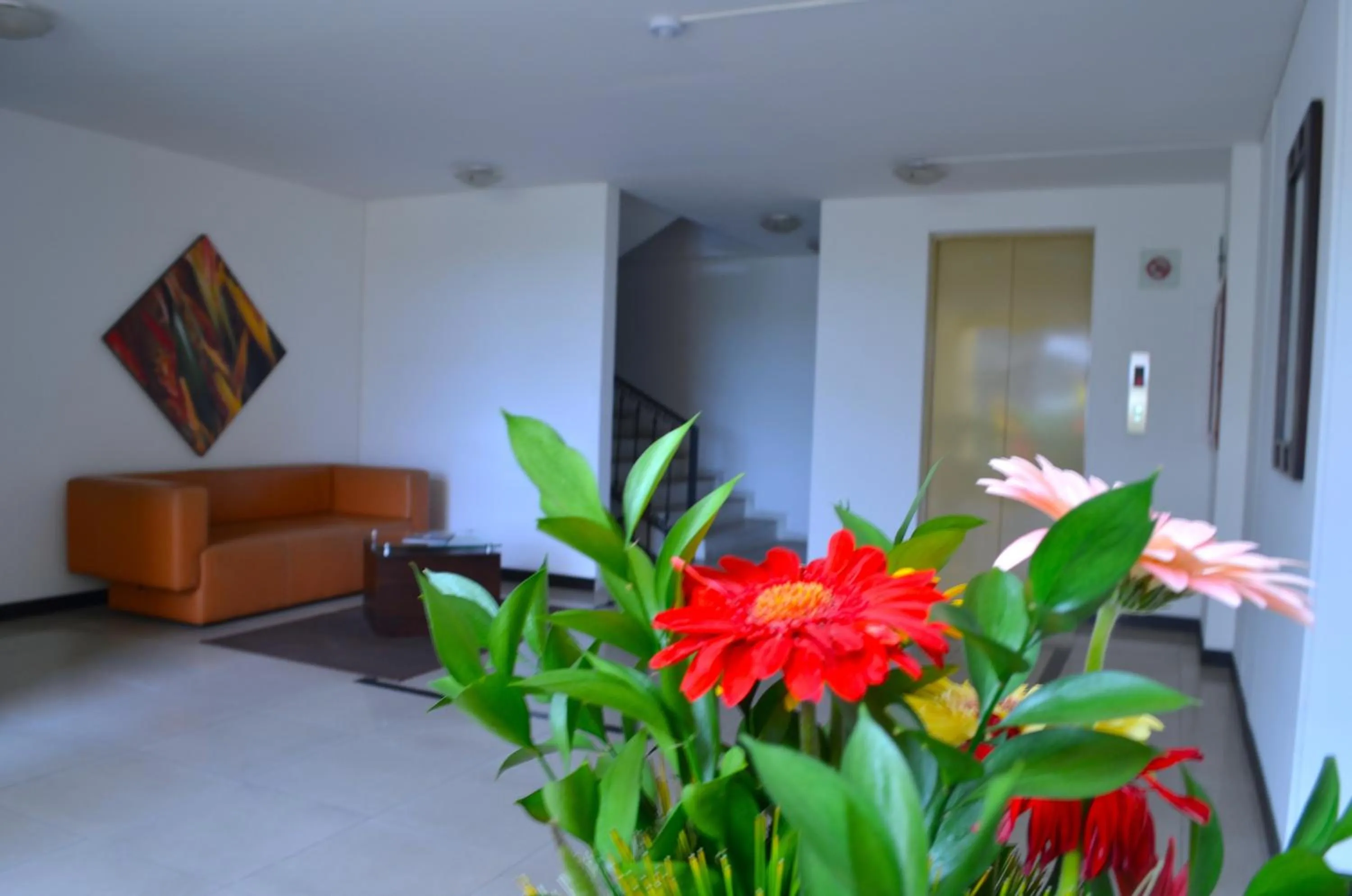 View (from property/room) in Hotel Pinares Plaza