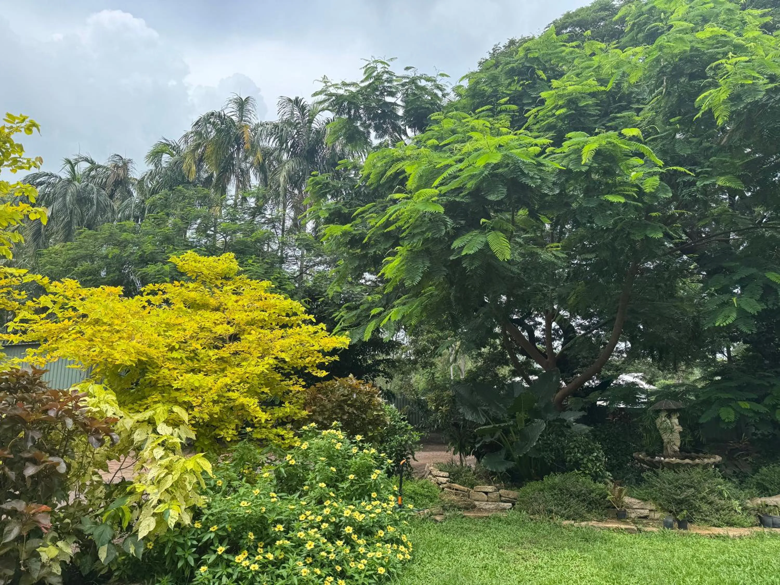 Garden in Darwin Boomerang Motel and Caravan Park