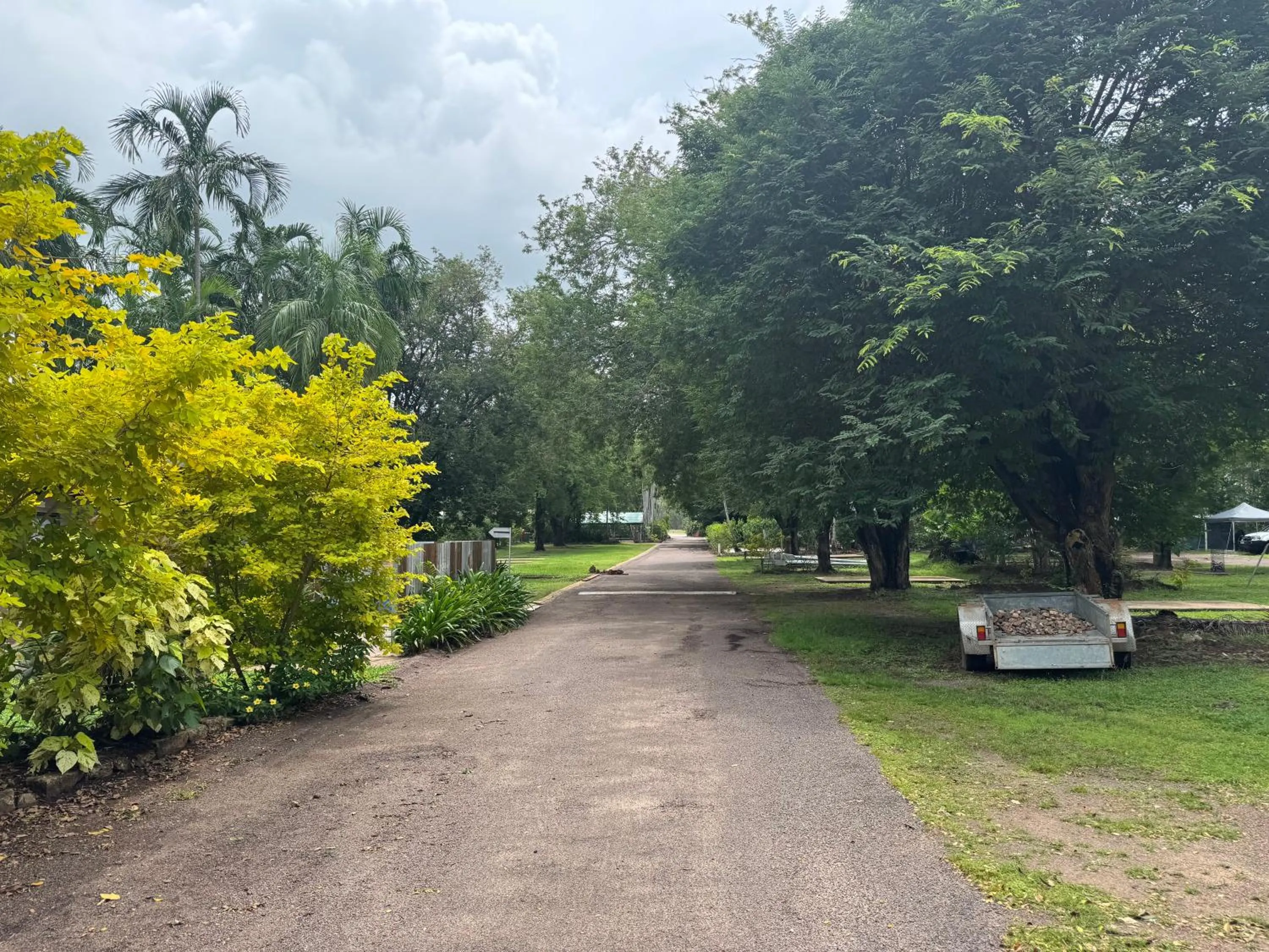 Garden in Darwin Boomerang Motel and Caravan Park