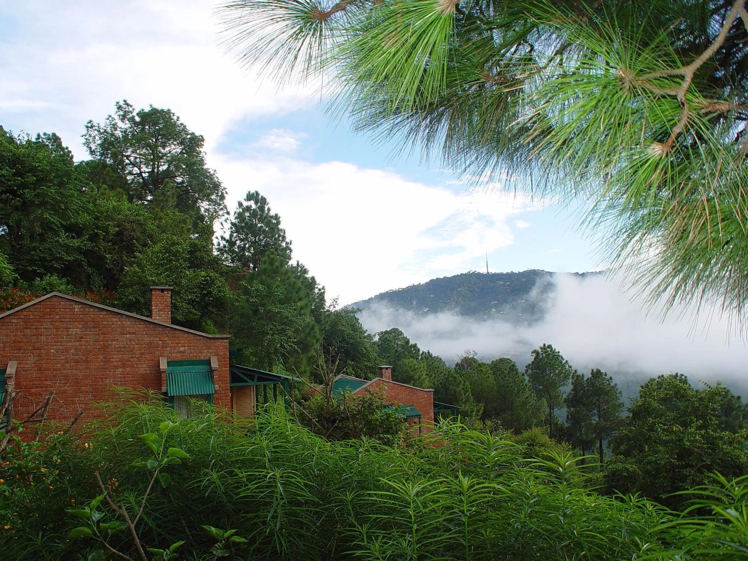 View (from property/room) in Baikunth Resort, Kasauli by Leisure Hotels