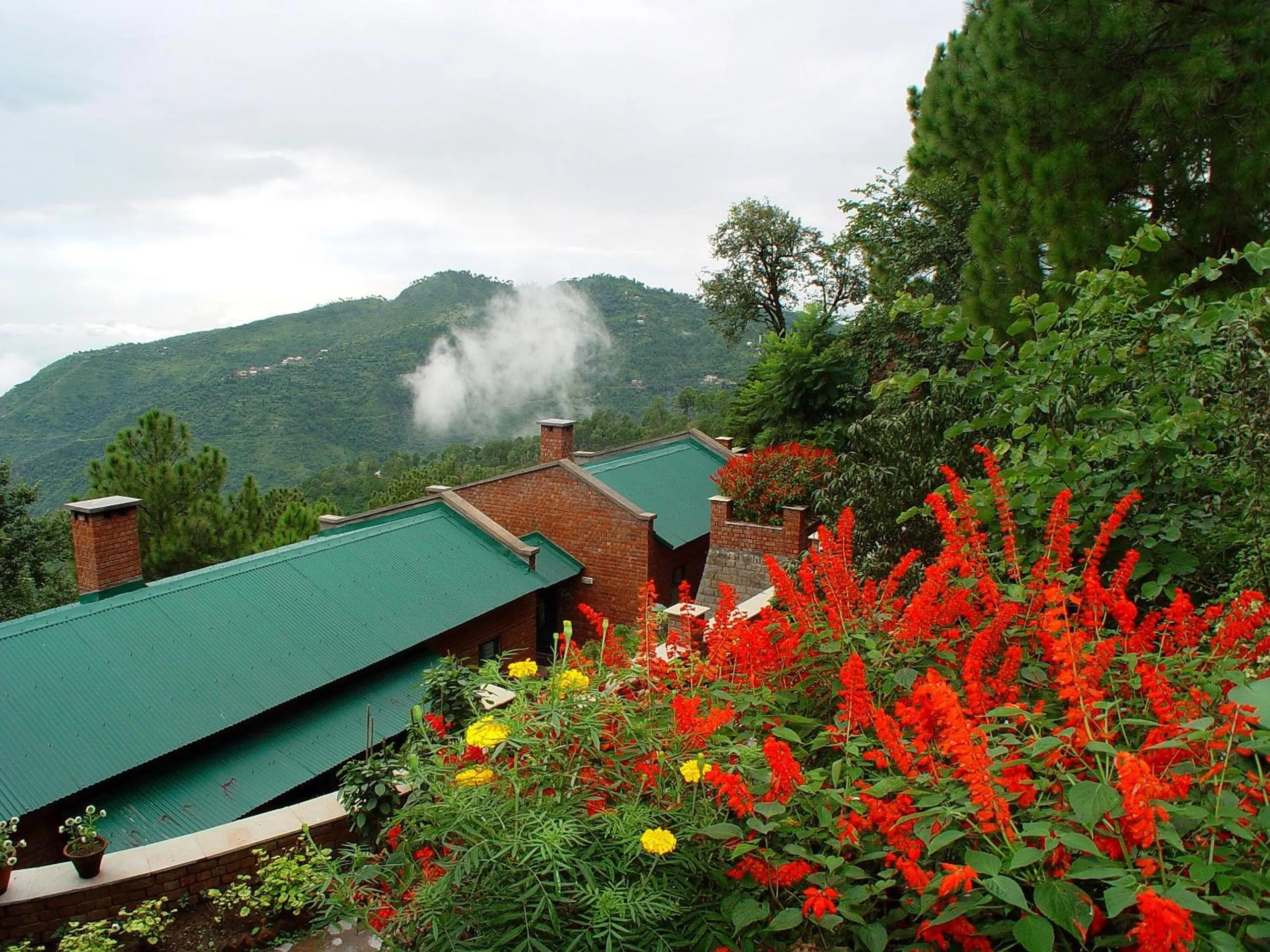 View (from property/room) in Baikunth Resort, Kasauli by Leisure Hotels