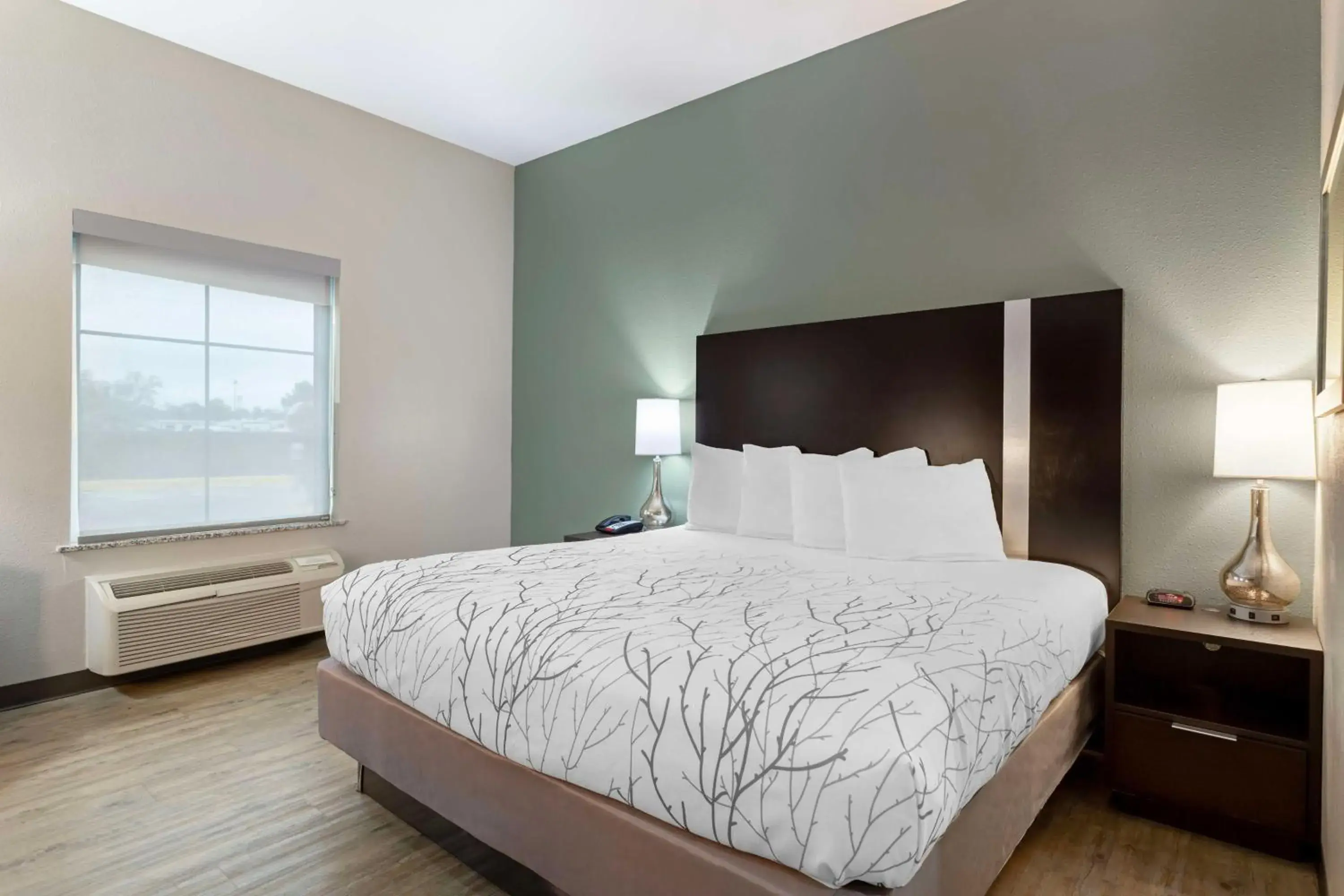 King Room - Pet Friendly in Best Western Casino Inn King Room - Pet Friendly in Best Western Casino Inn