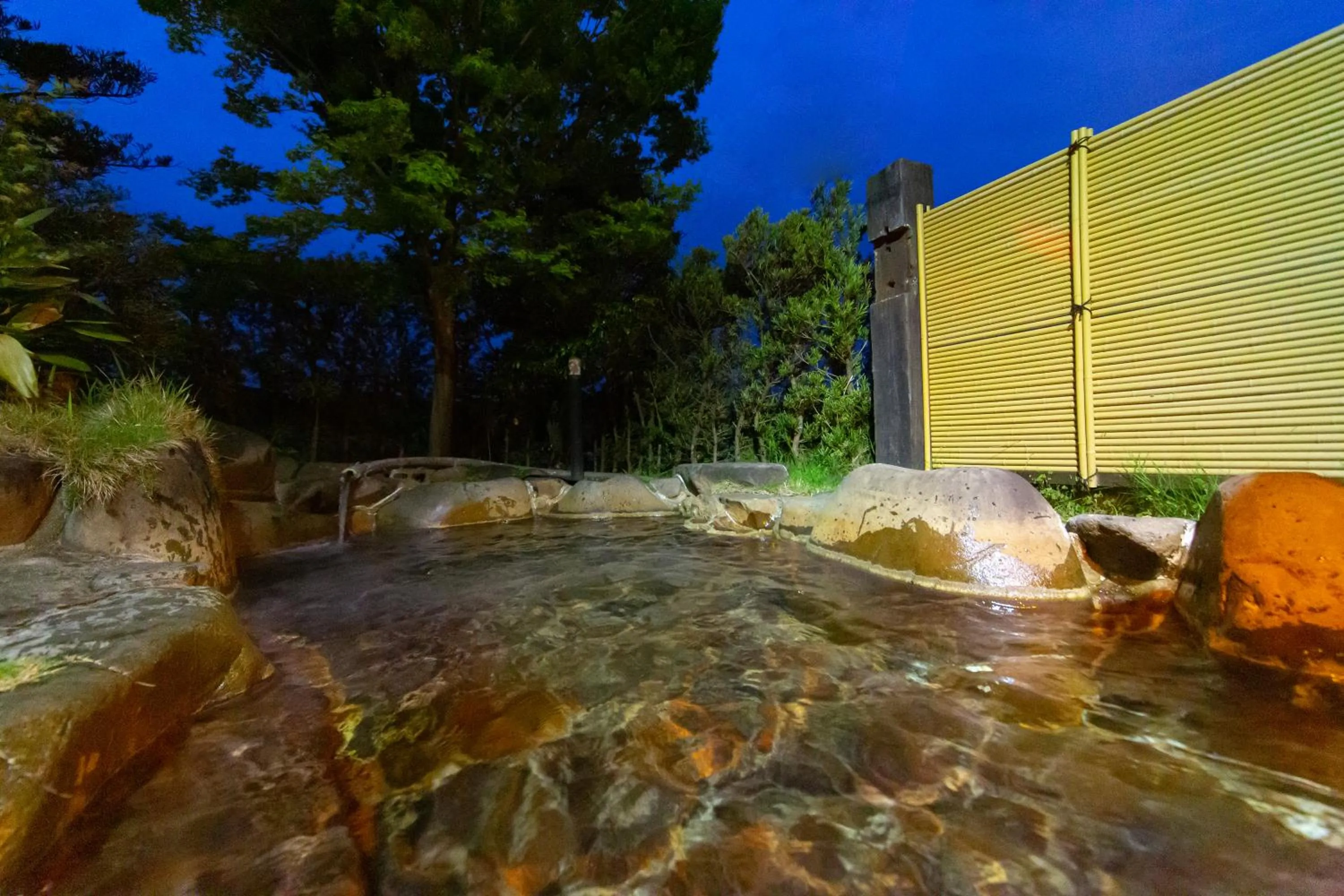 Hot Spring Bath in Ryokan Toyotomi