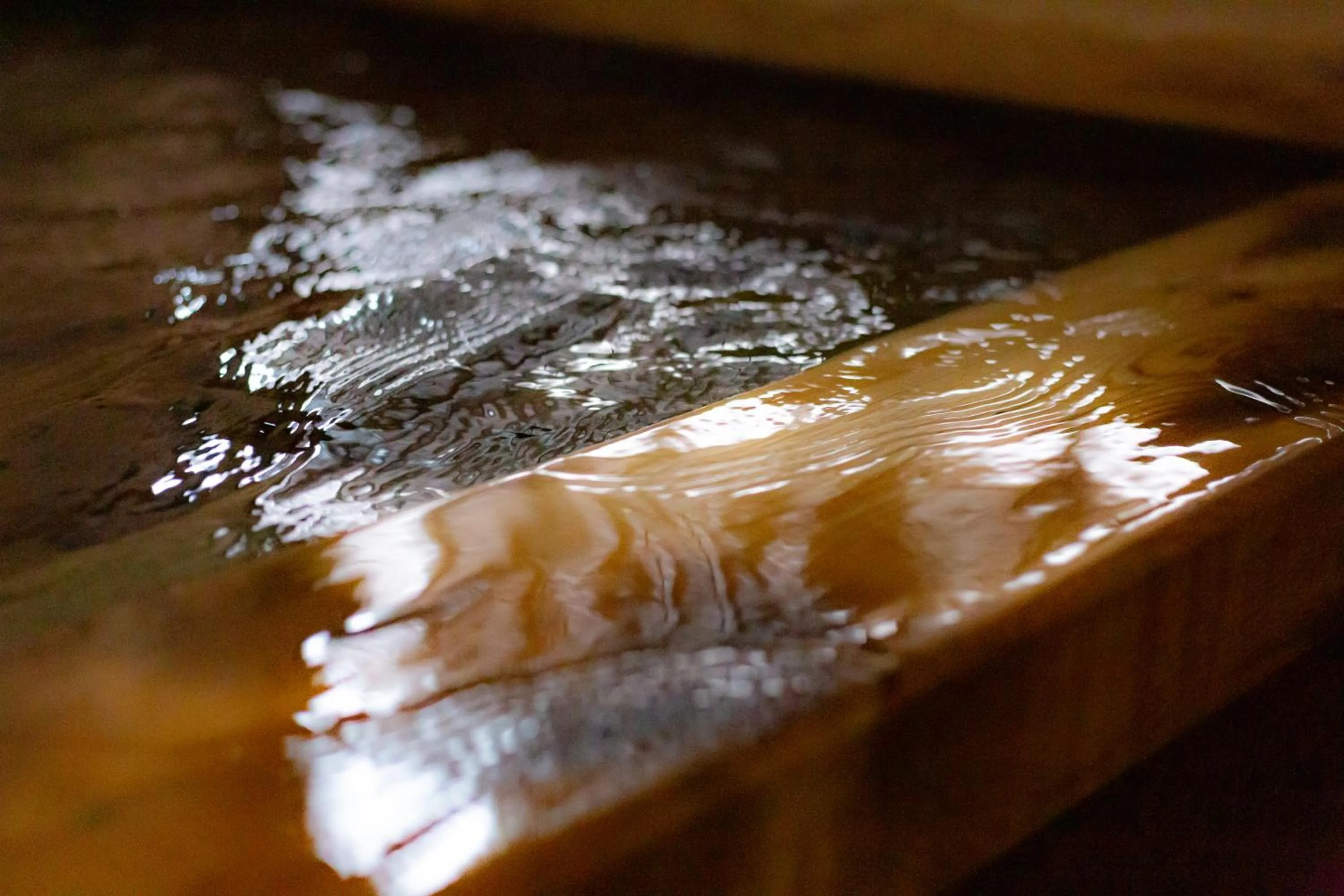 Hot Spring Bath in Ryokan Toyotomi