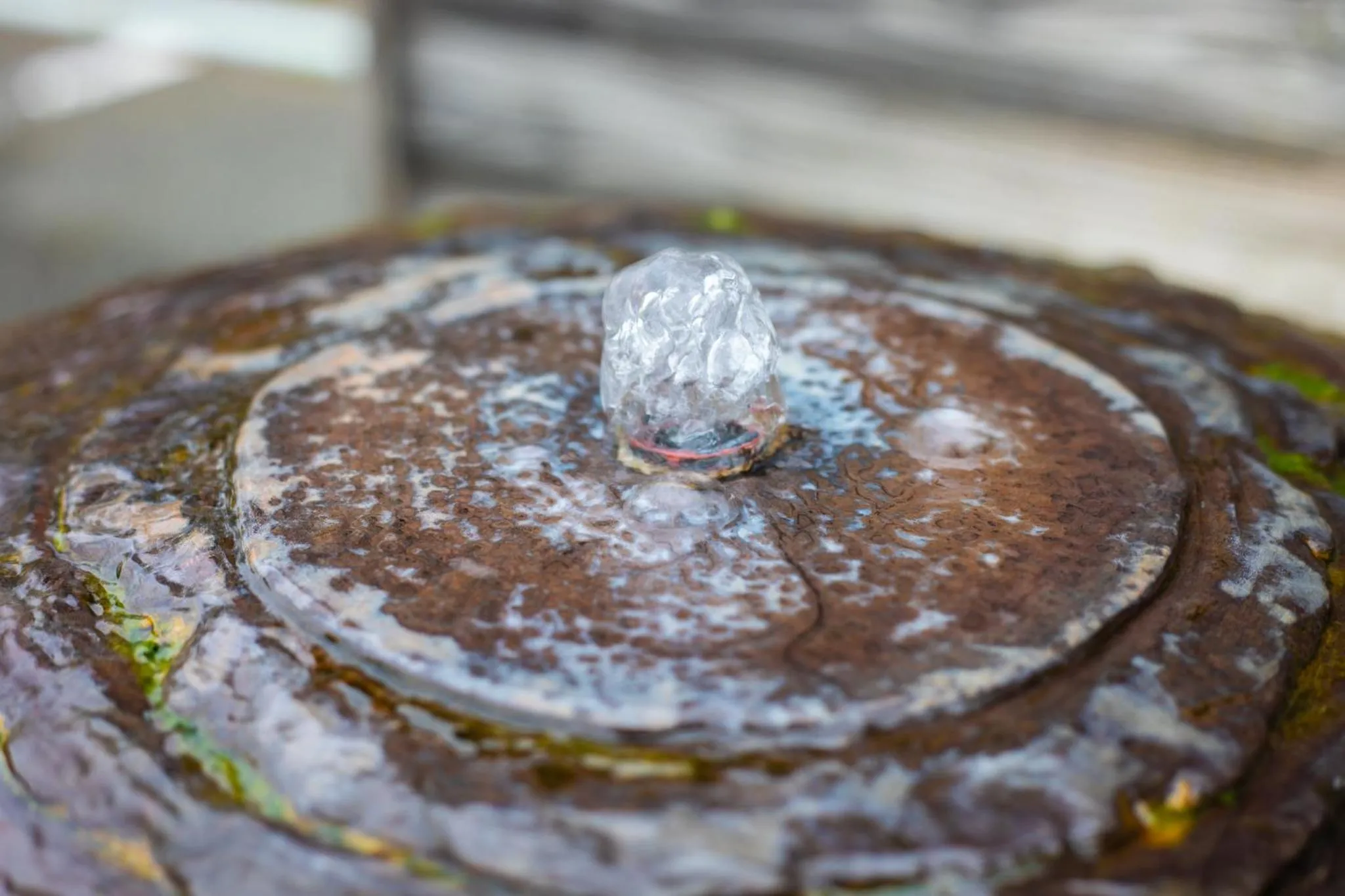 Area and facilities in Ryokan Toyotomi