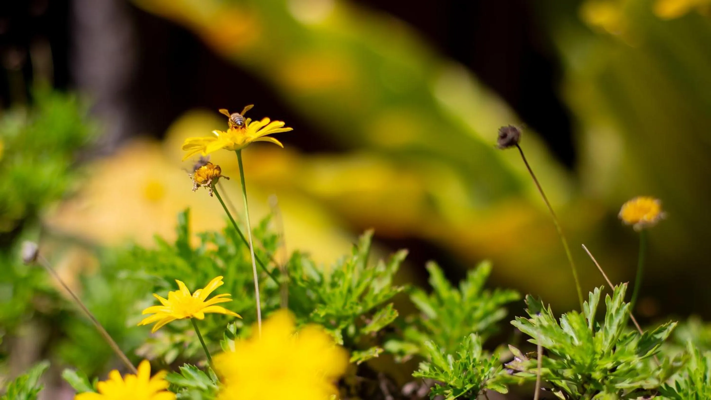 Natural landscape in Fondavela Hotel