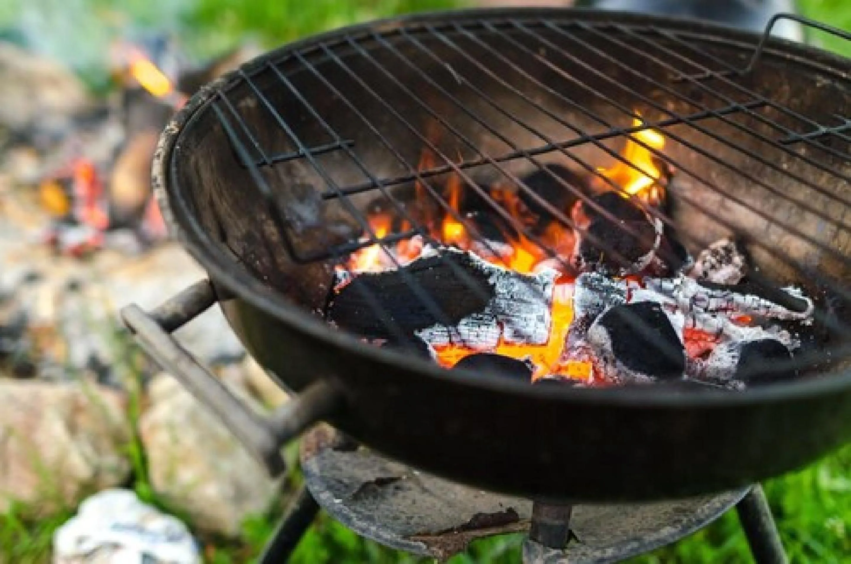 BBQ facilities in Hotel Petersburg VA I-95 & E Washington St