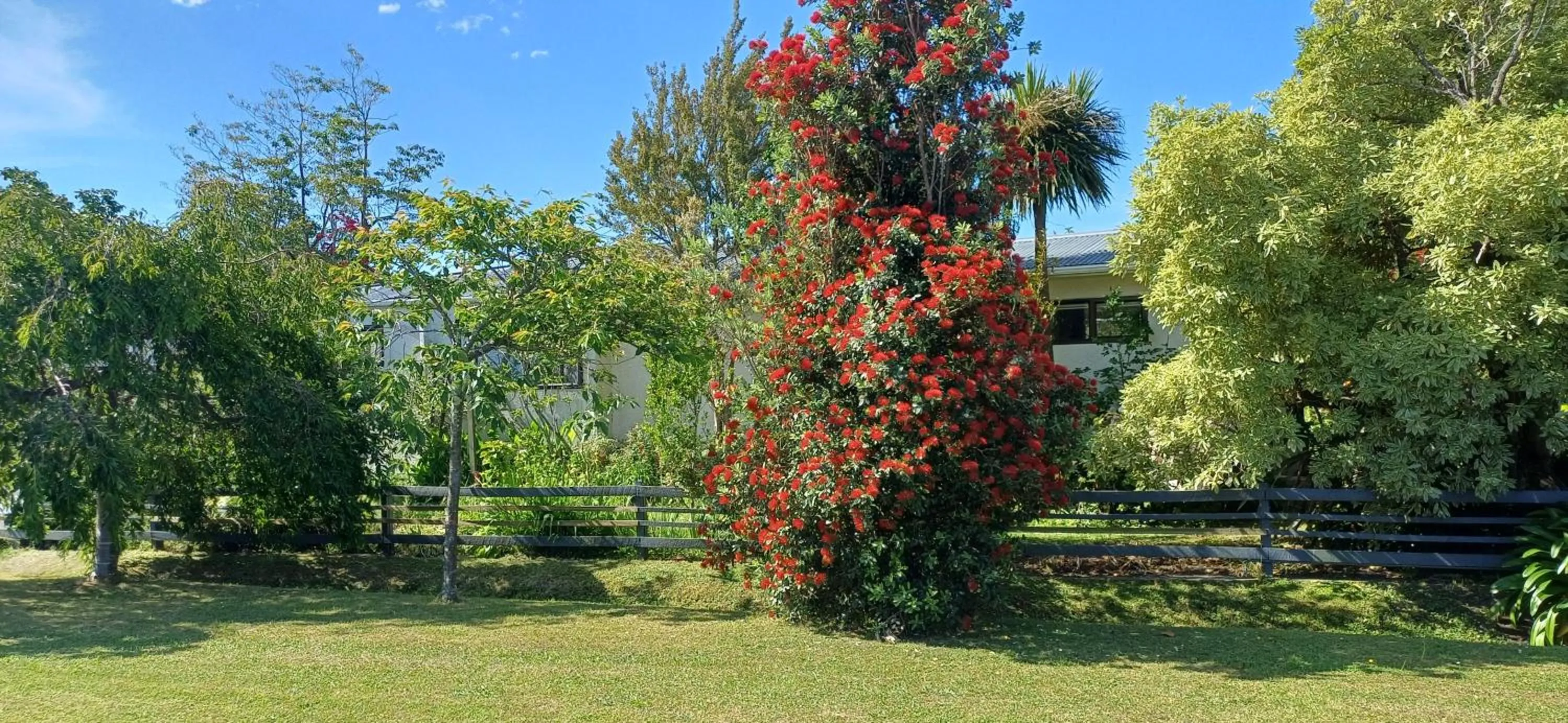 Ashcroft Gardens Bed & Breakfast