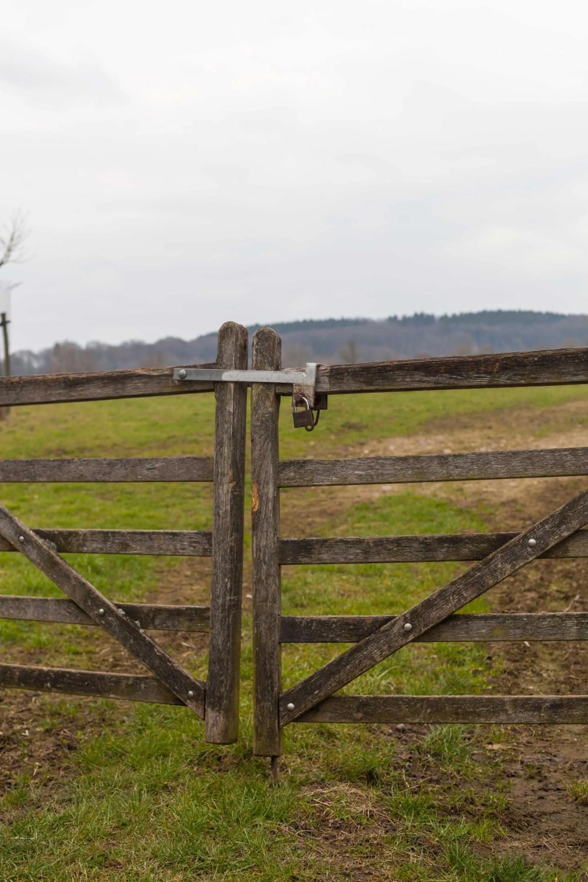 Natural landscape in Hotel - Restaurant De 4 Jaargetijden
