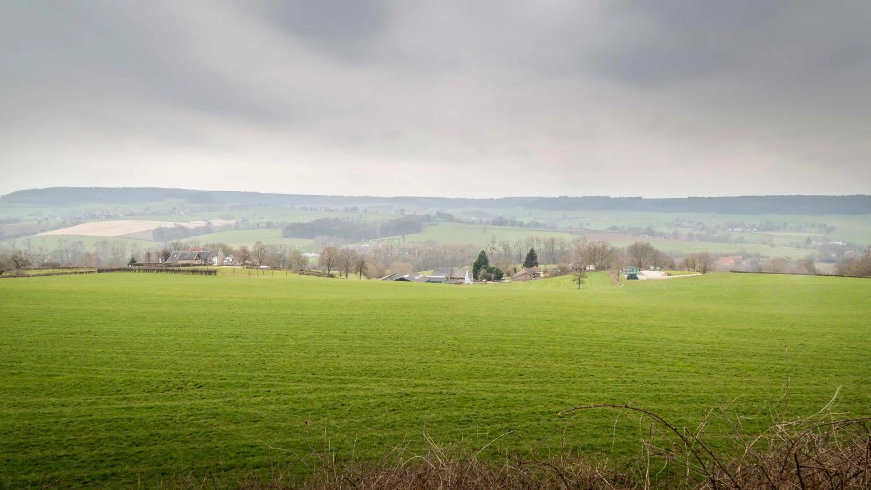Natural landscape in Hotel - Restaurant De 4 Jaargetijden