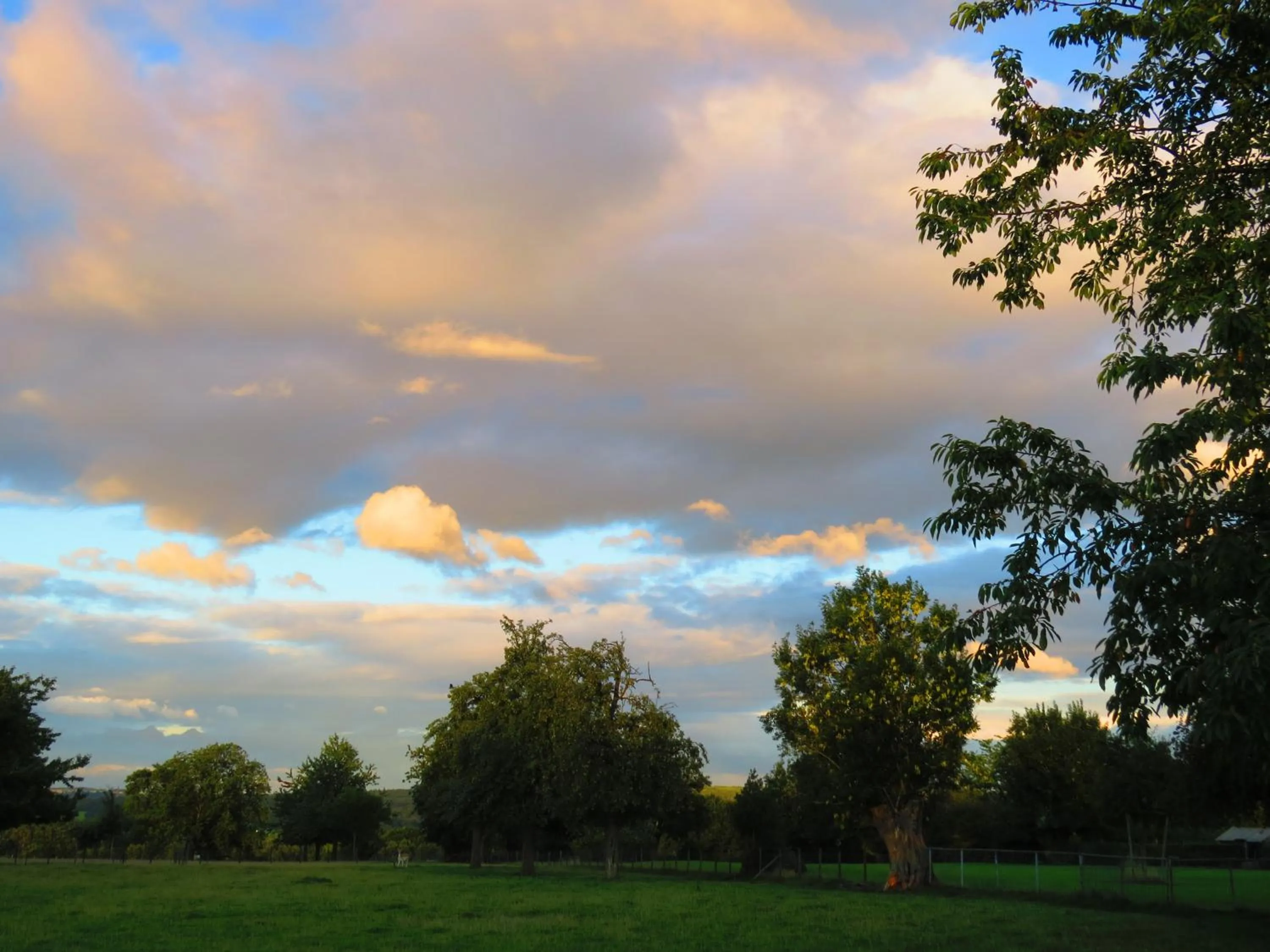 Nearby landmark in Hotel - Restaurant De 4 Jaargetijden