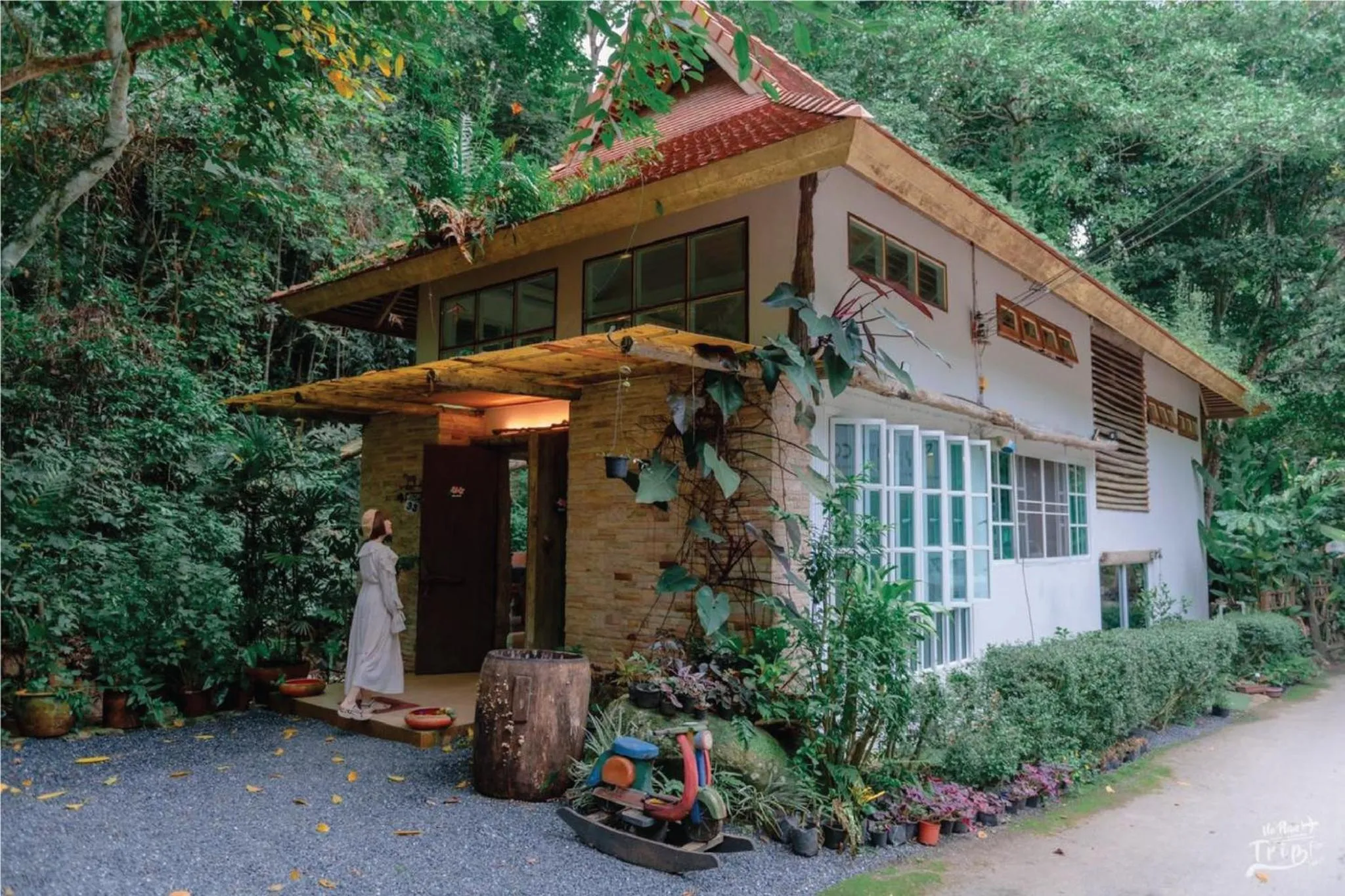 Restaurant/places to eat in My Cottage Chiangmai