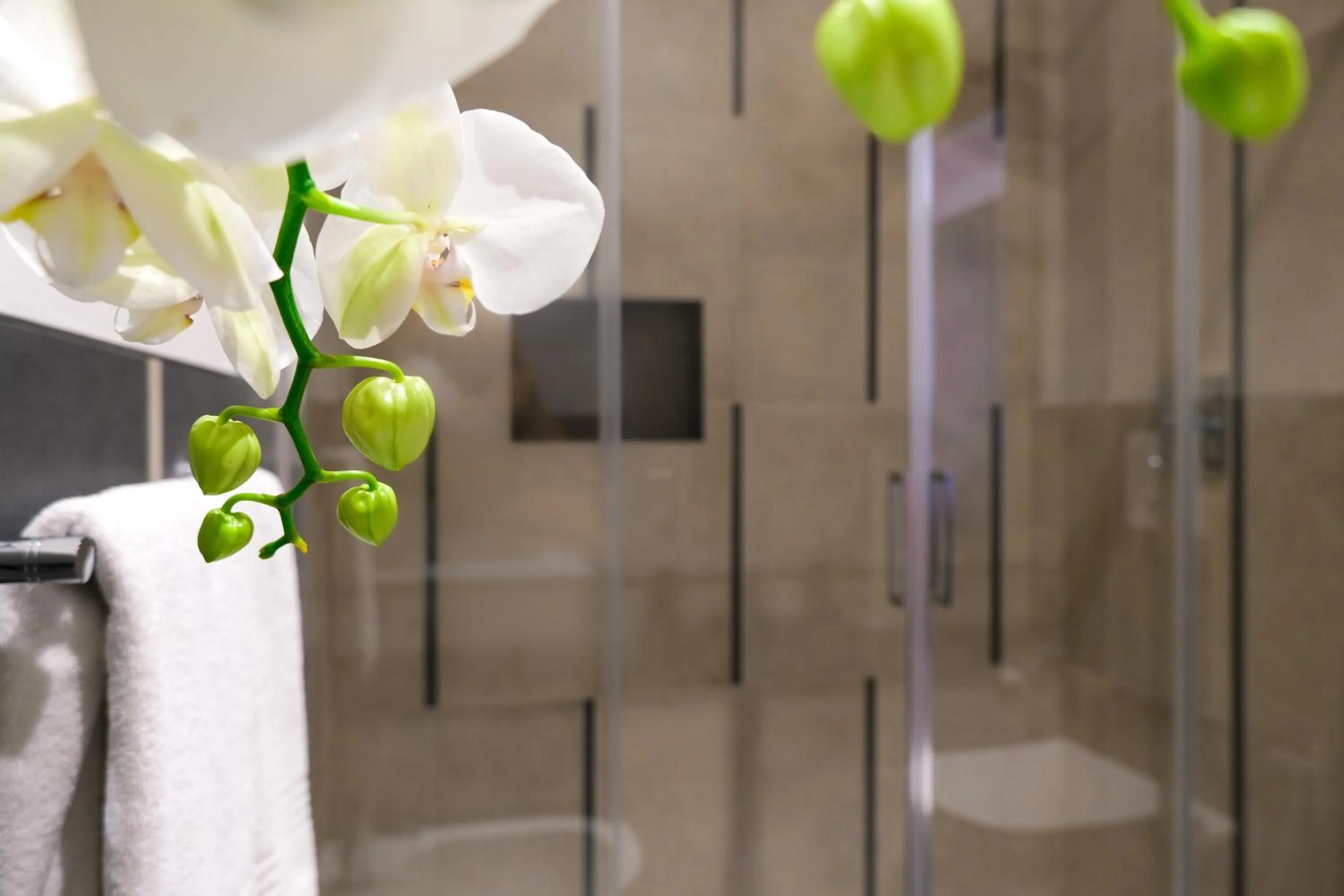 Shower in Emerald Green Residence
