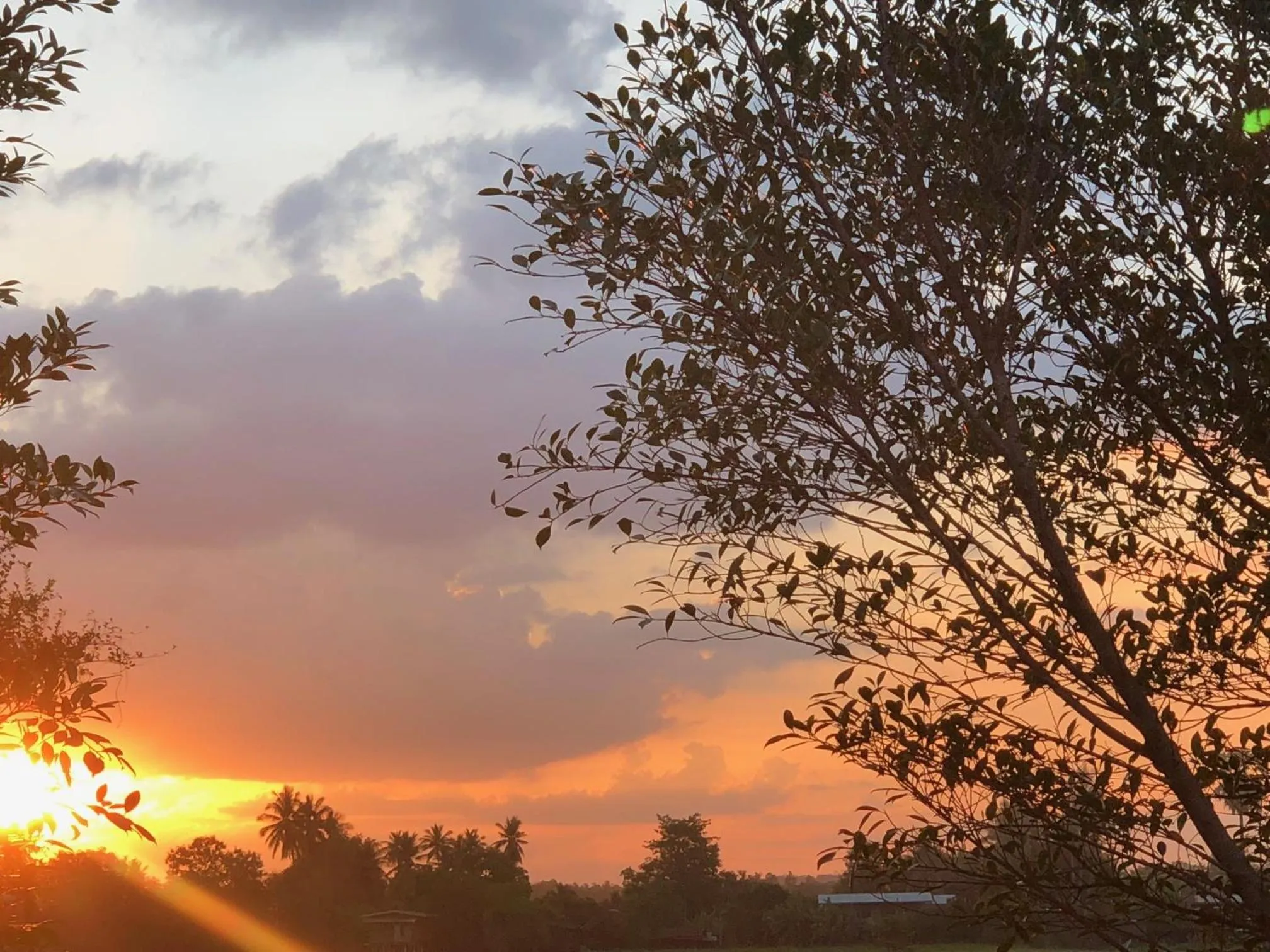 Natural landscape in Sukhothai Indy Resort