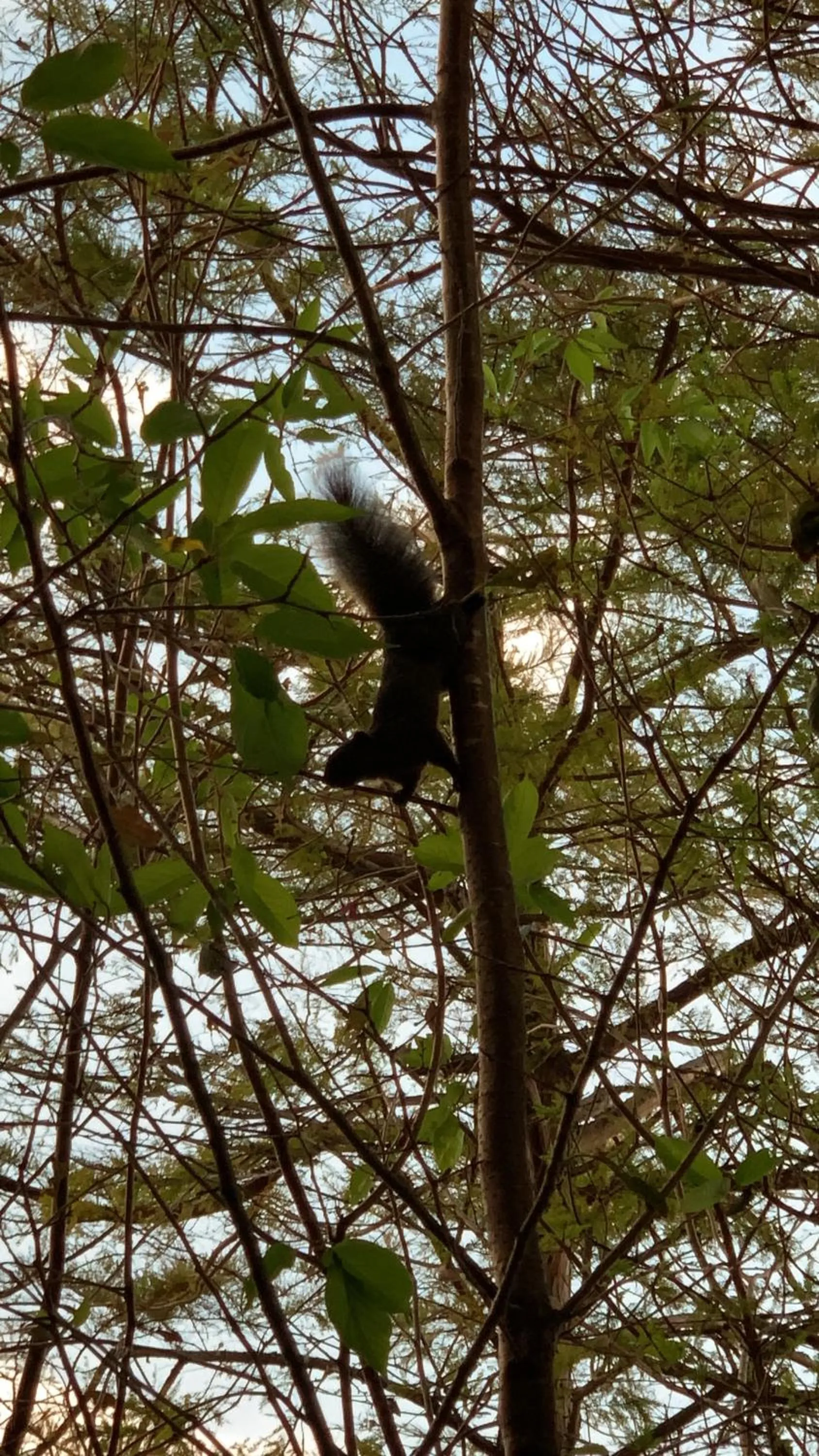 Day in The Cotswolds Villa