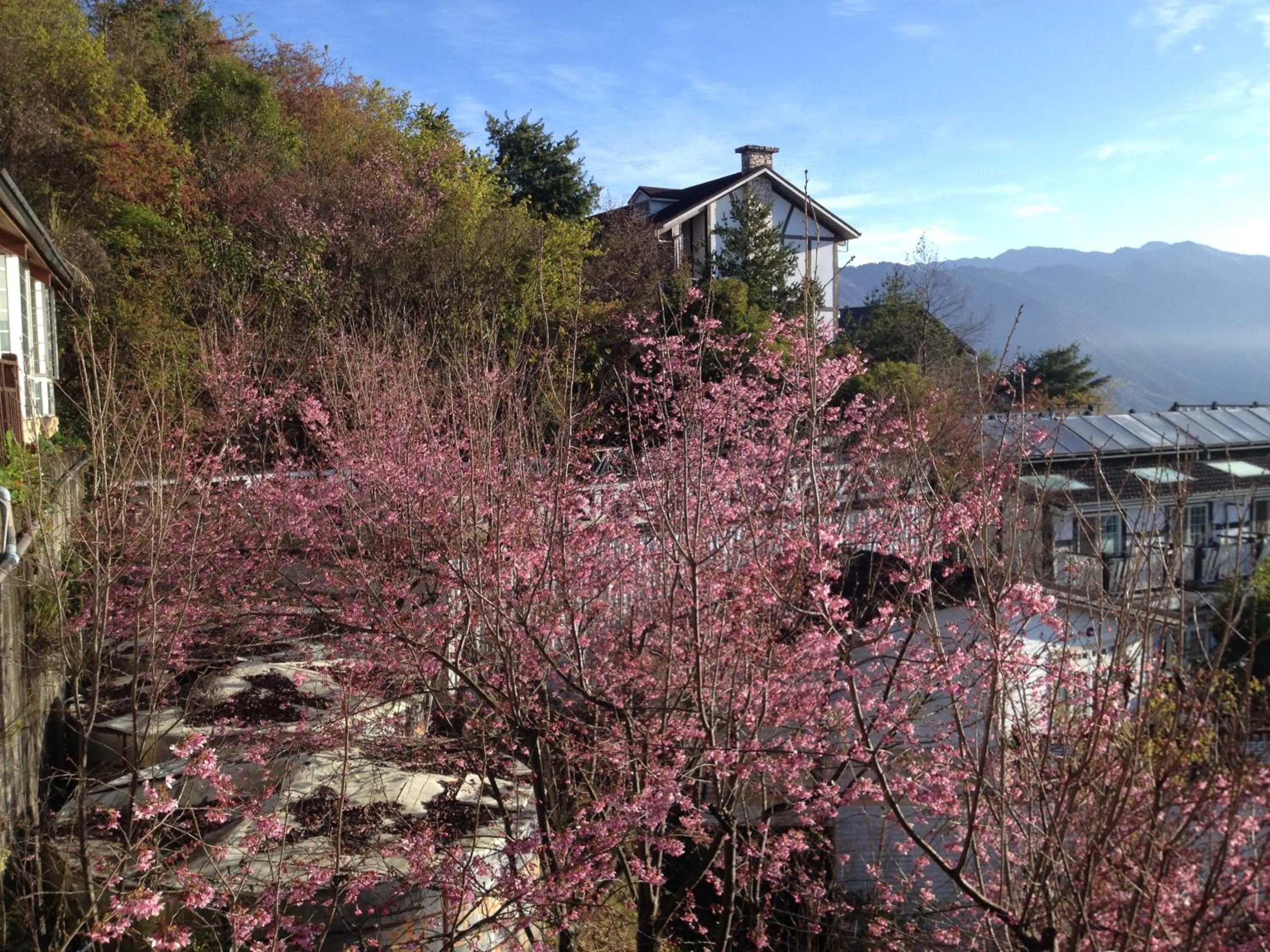 Day in The Cotswolds Villa