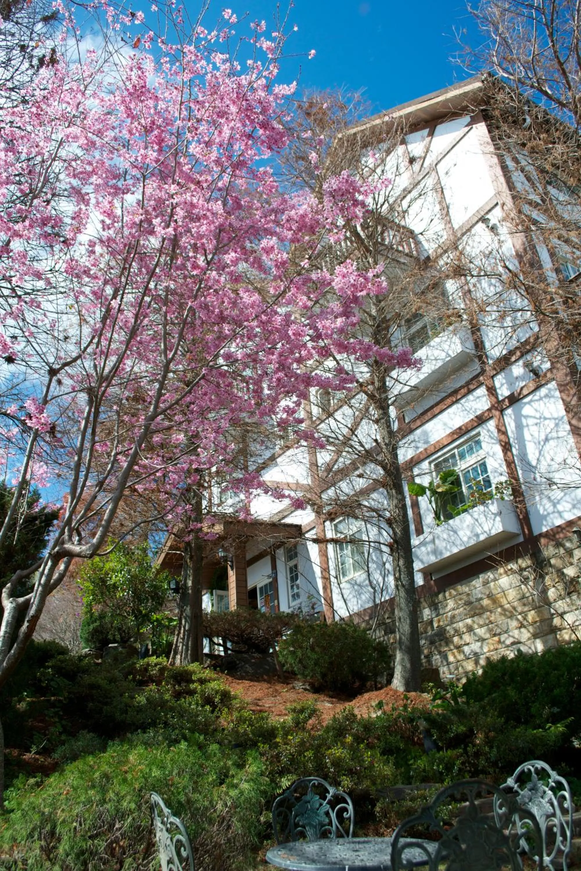 Property building in The Cotswolds Villa