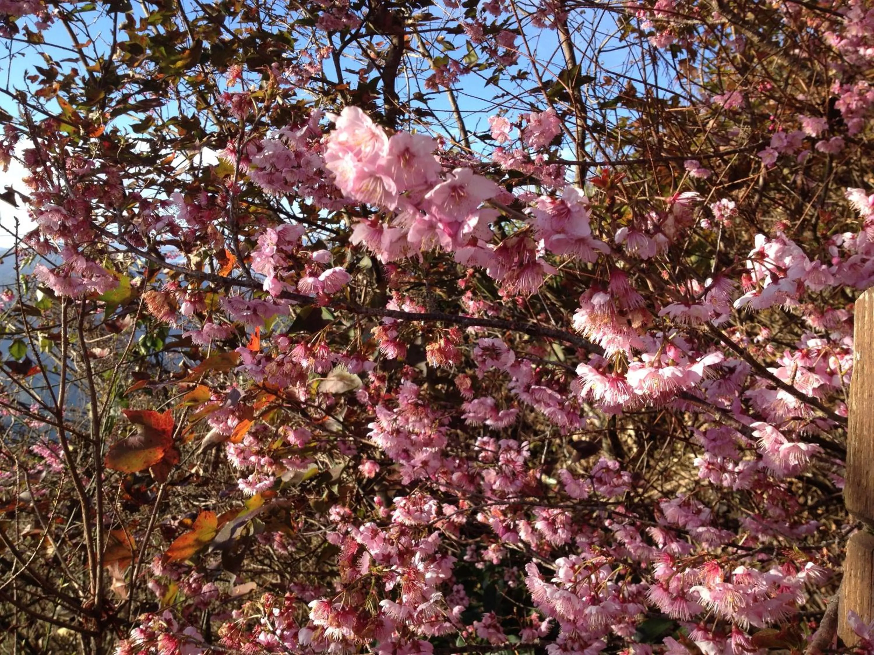 Other in The Cotswolds Villa