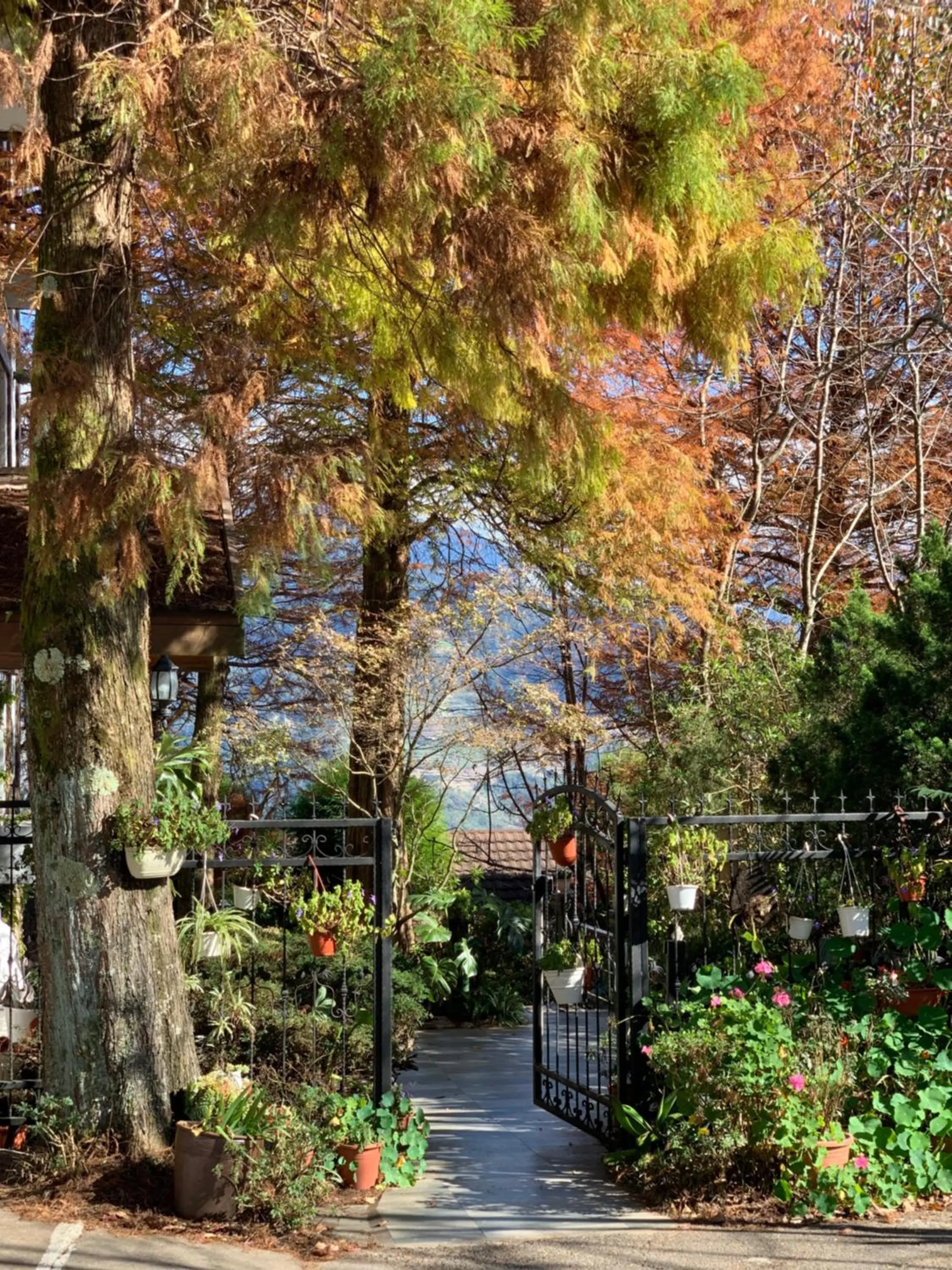 Facade/entrance in The Cotswolds Villa