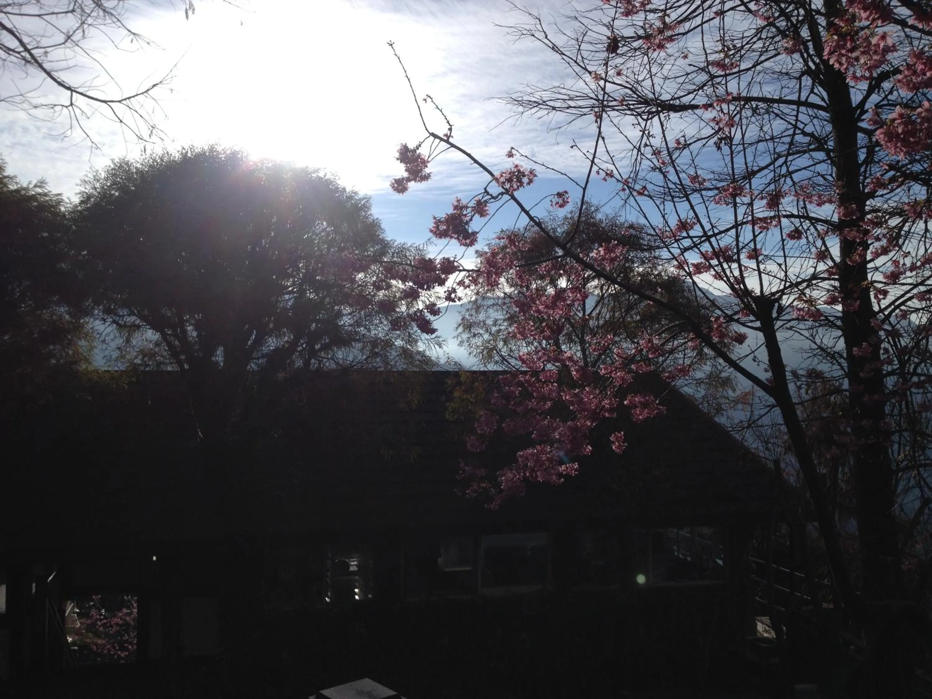 Property building in The Cotswolds Villa