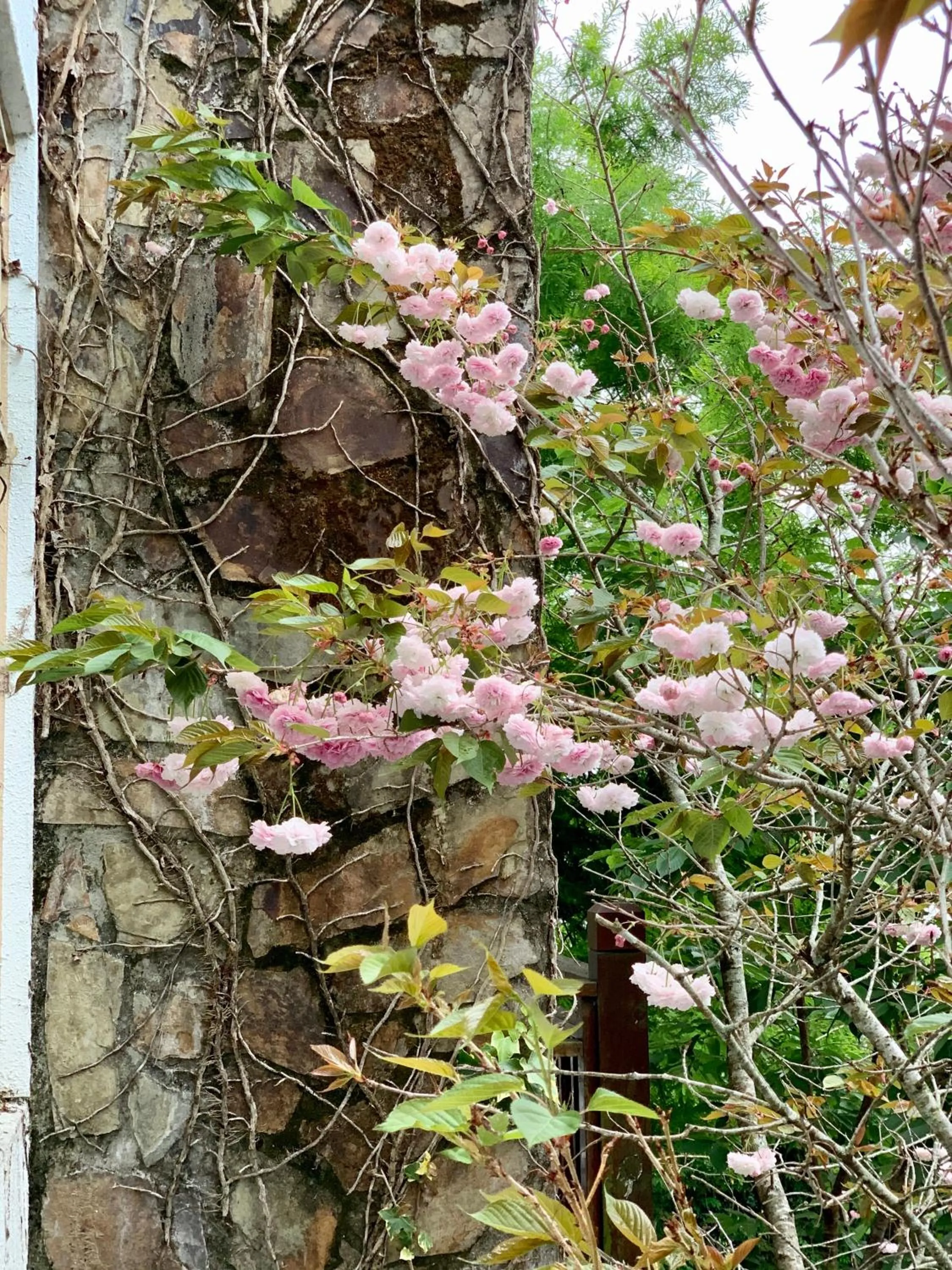 Spring in The Cotswolds Villa