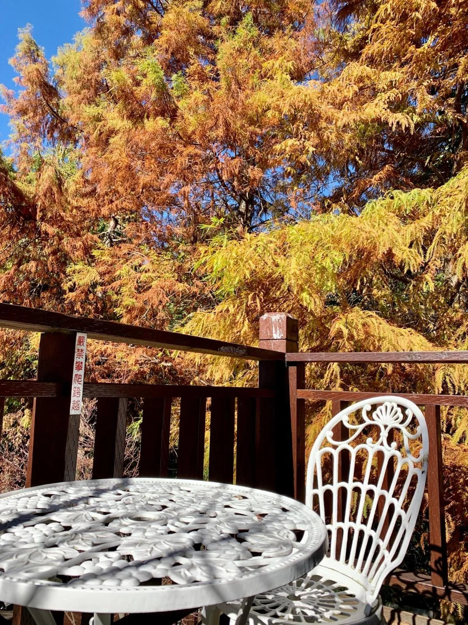 Day in The Cotswolds Villa