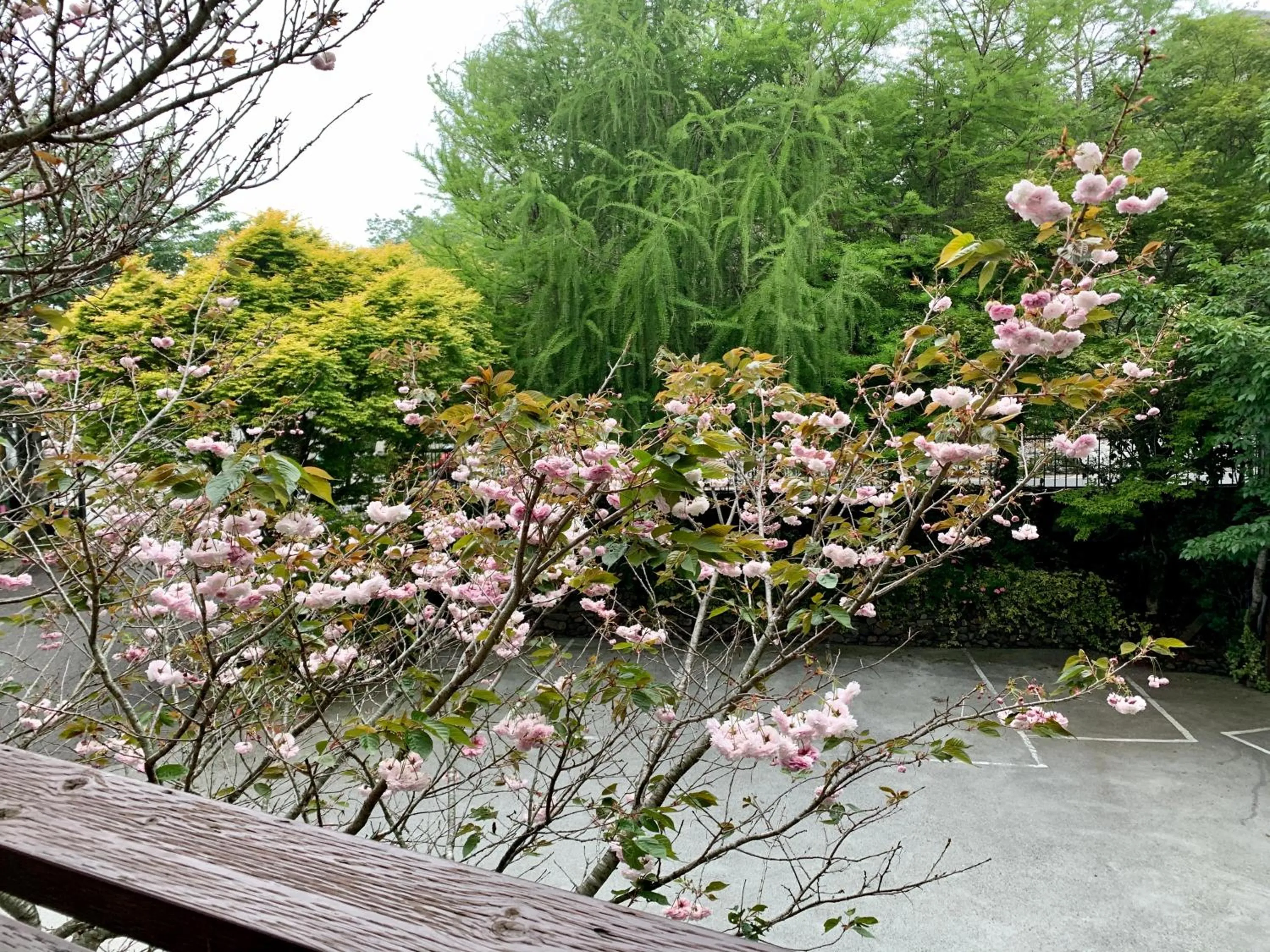 Spring in The Cotswolds Villa