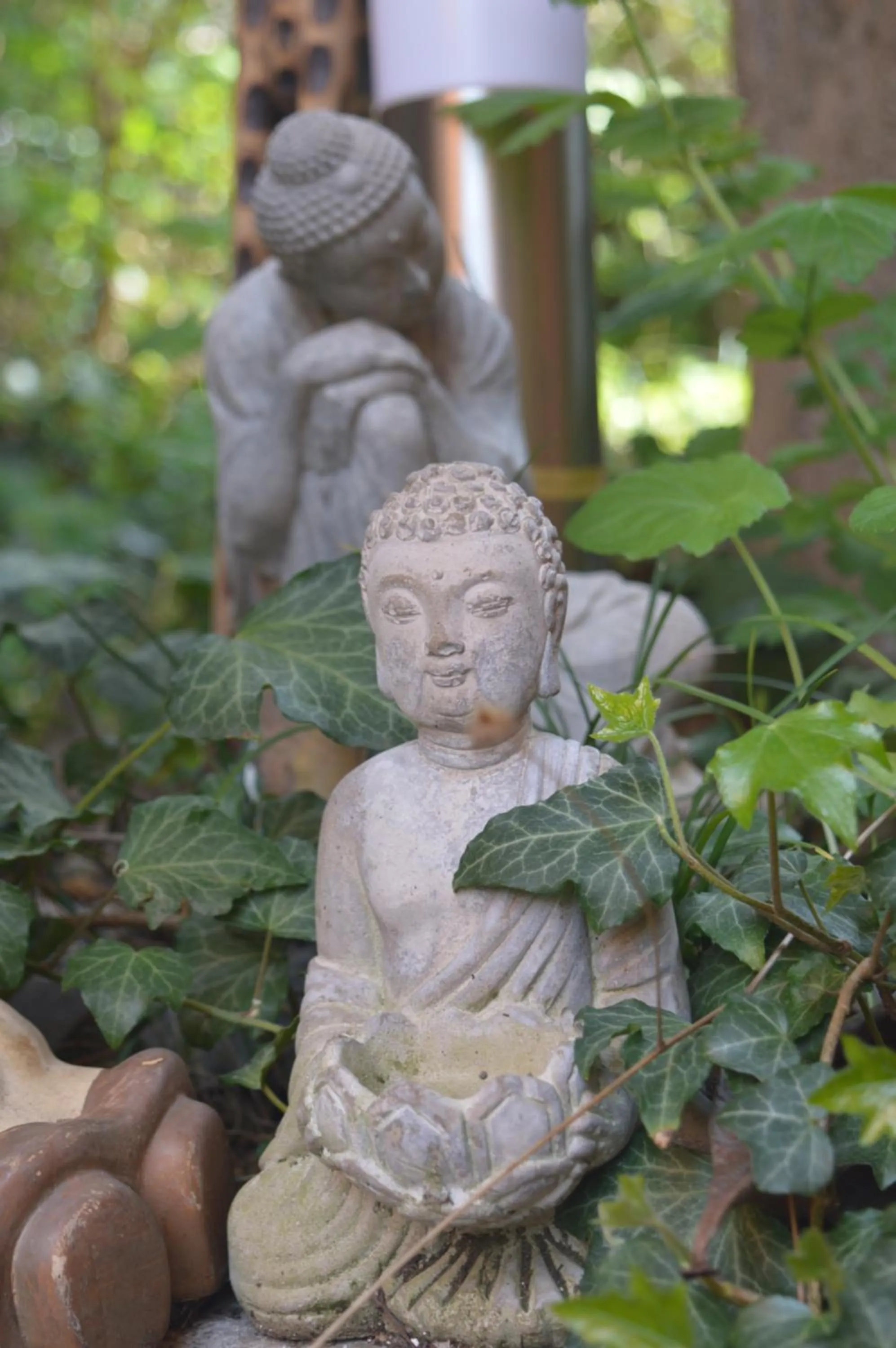 Garden in Il Giardino Nel Parco R&B