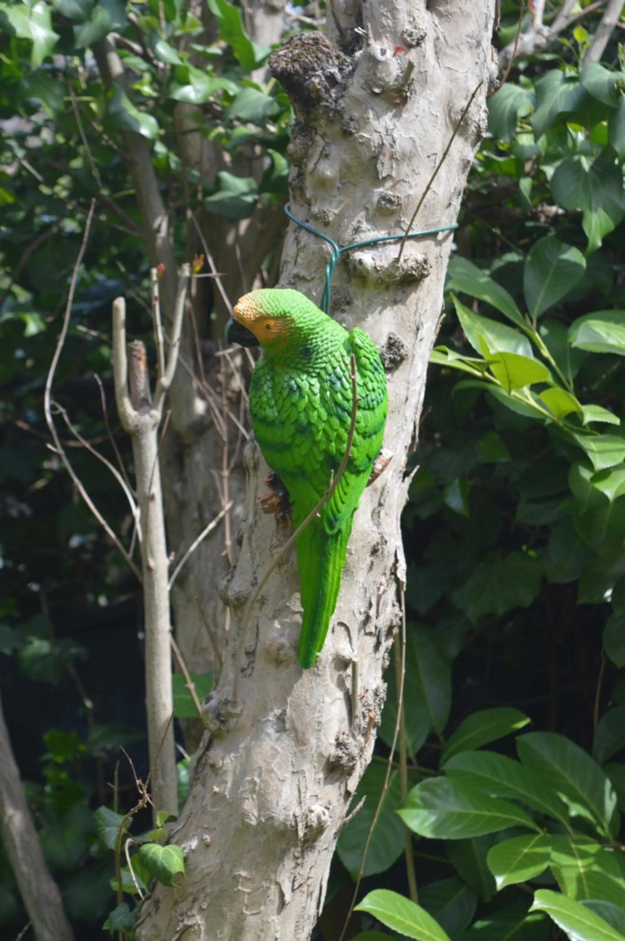 Garden in Il Giardino Nel Parco R&B