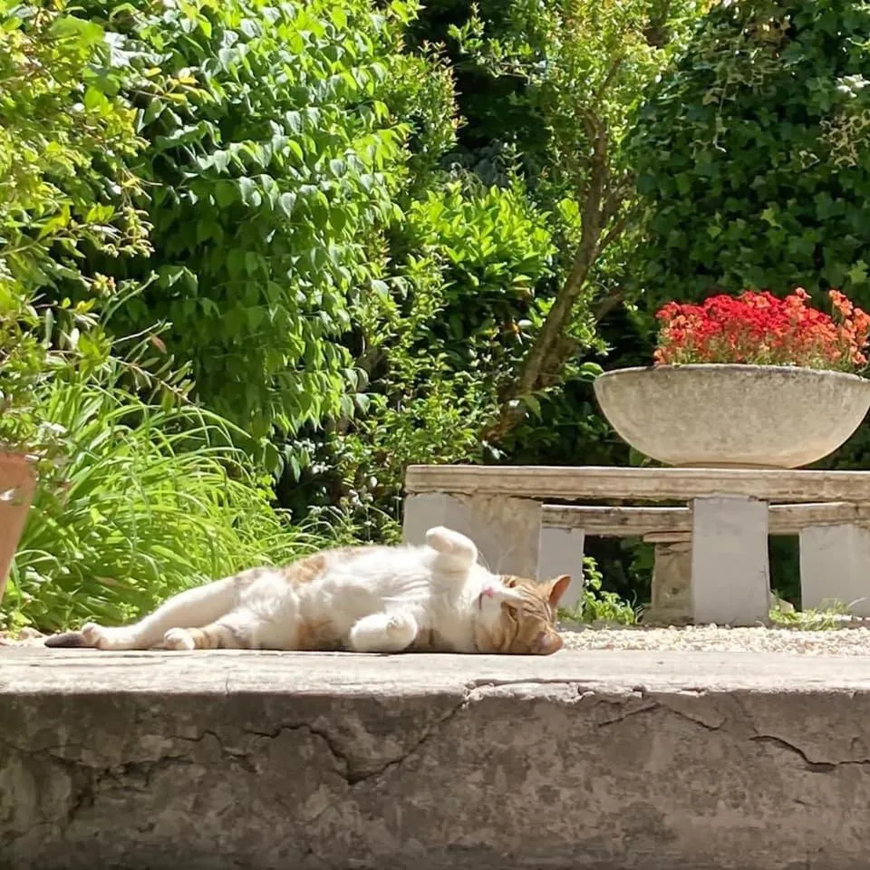 Garden in Il Giardino Nel Parco R&B