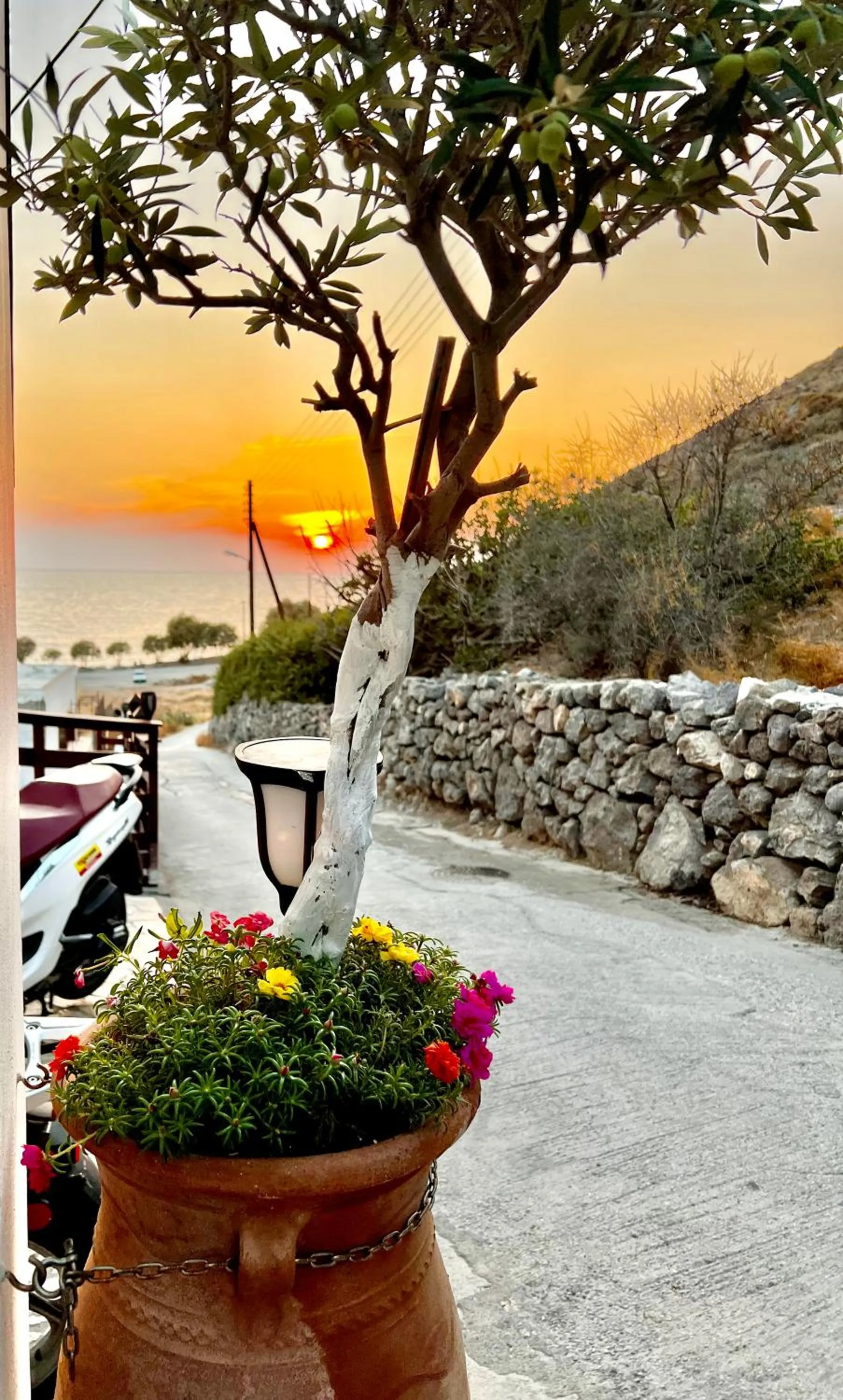 Property building in Mistral-Patmos