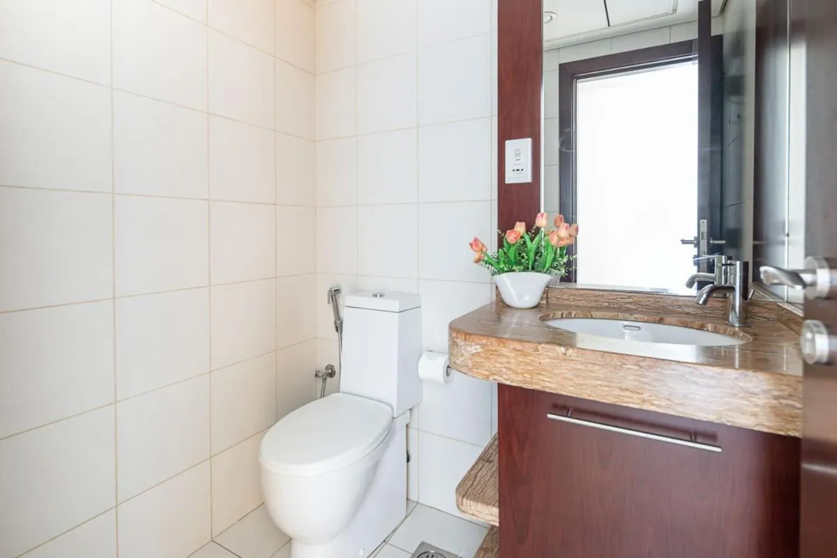 Frank Porter - Burj Views